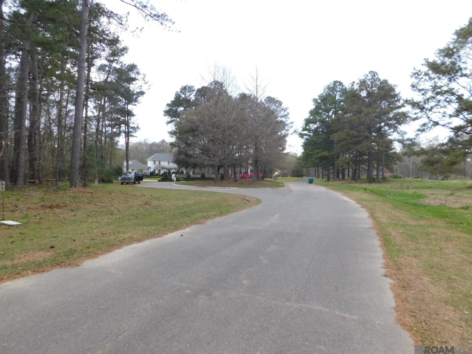 13812 Sweetwoods Hollow Dr, Saint Francisville, Louisiana image 14