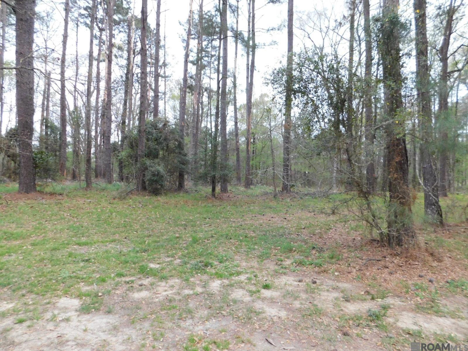 13812 Sweetwoods Hollow Dr, Saint Francisville, Louisiana image 2