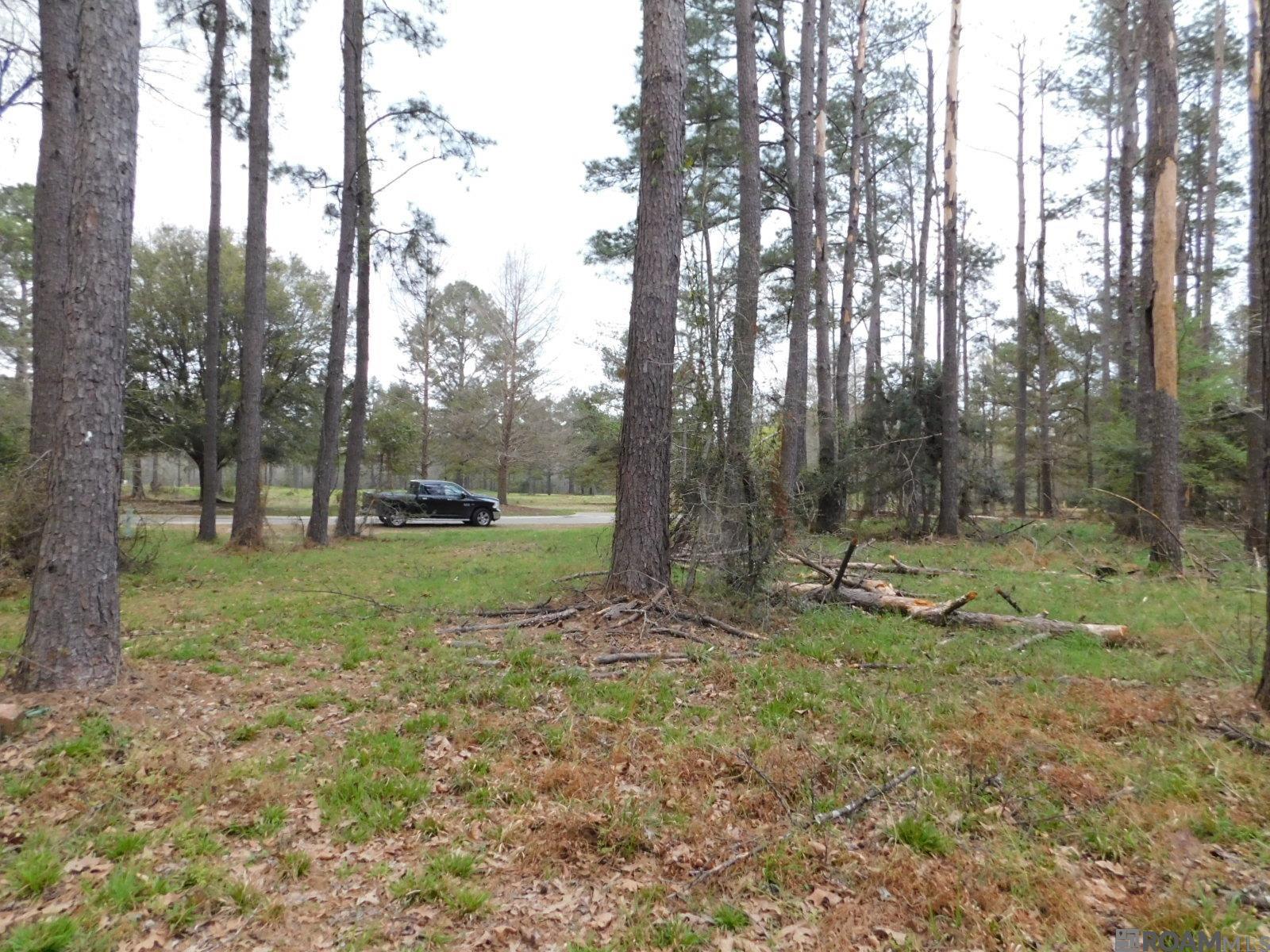 13812 Sweetwoods Hollow Dr, Saint Francisville, Louisiana image 9