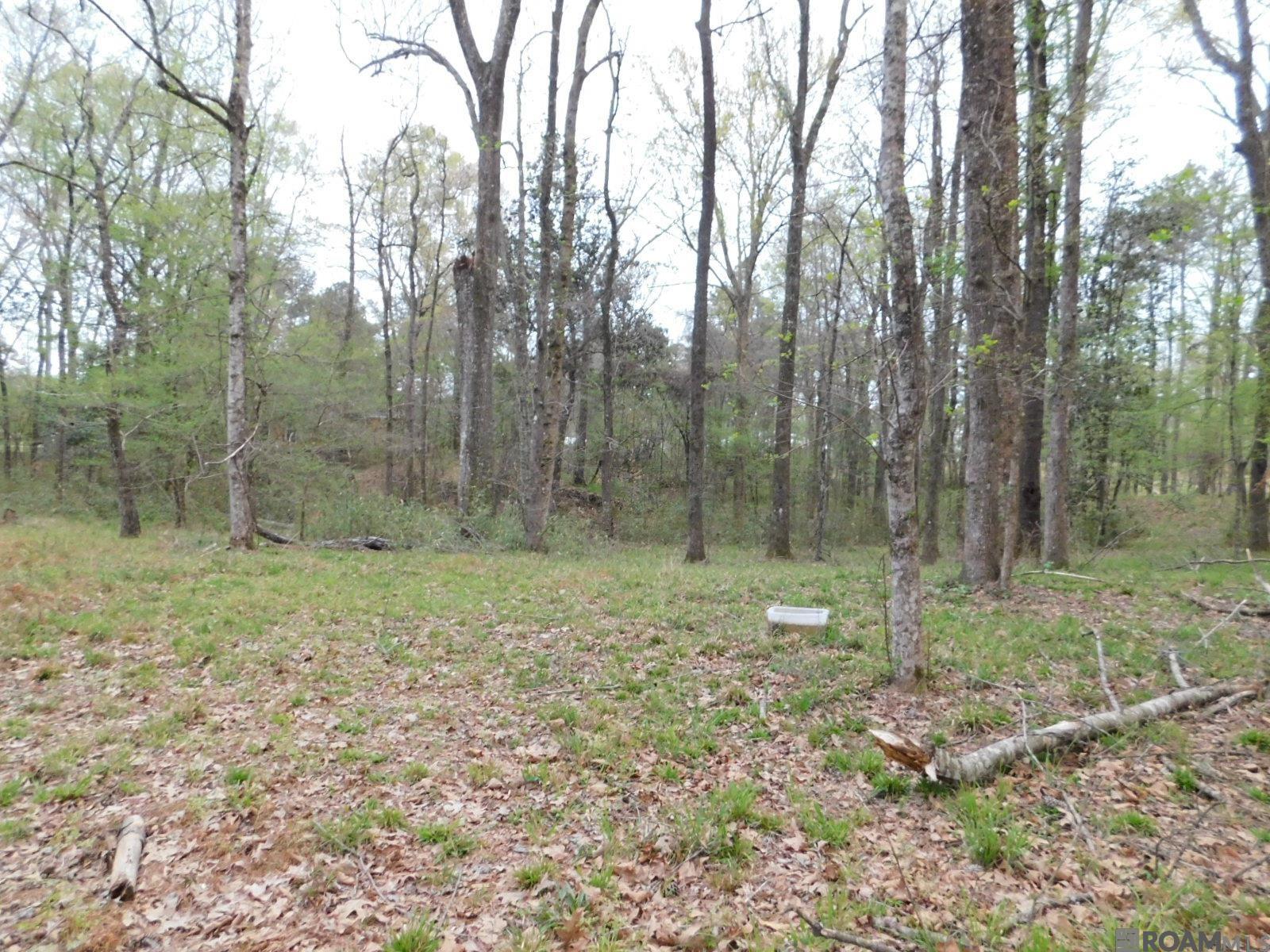 13812 Sweetwoods Hollow Dr, Saint Francisville, Louisiana image 6
