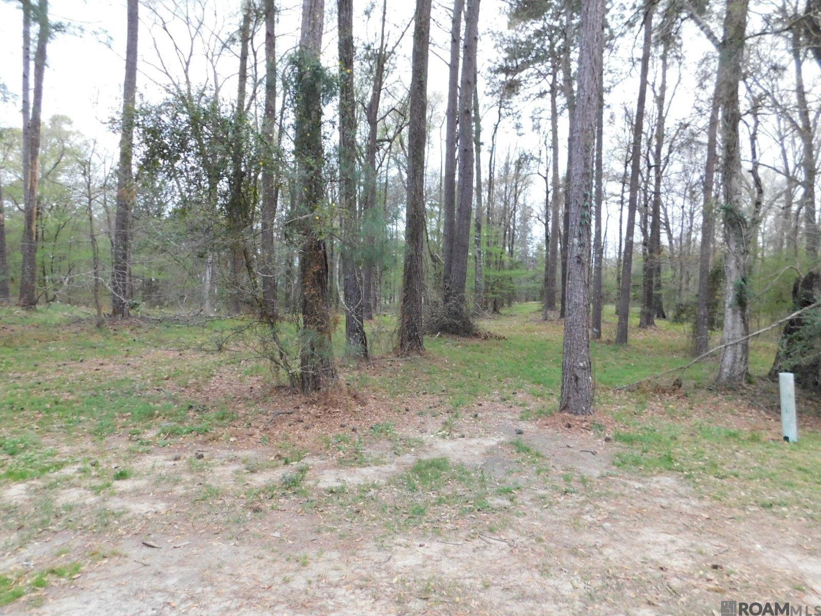 13812 Sweetwoods Hollow Dr, Saint Francisville, Louisiana image 1