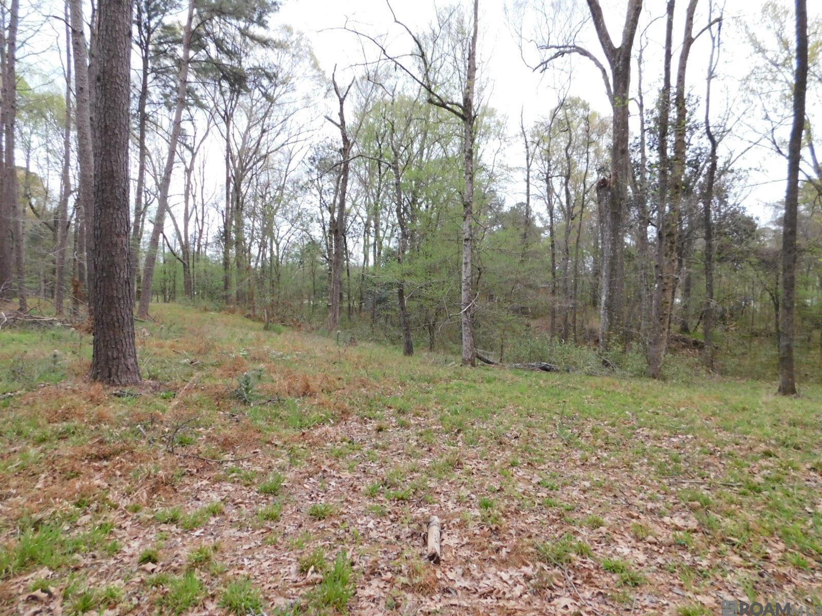 13812 Sweetwoods Hollow Dr, Saint Francisville, Louisiana image 7