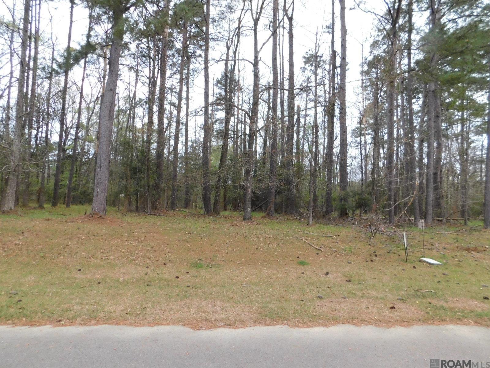 13812 Sweetwoods Hollow Dr, Saint Francisville, Louisiana image 12