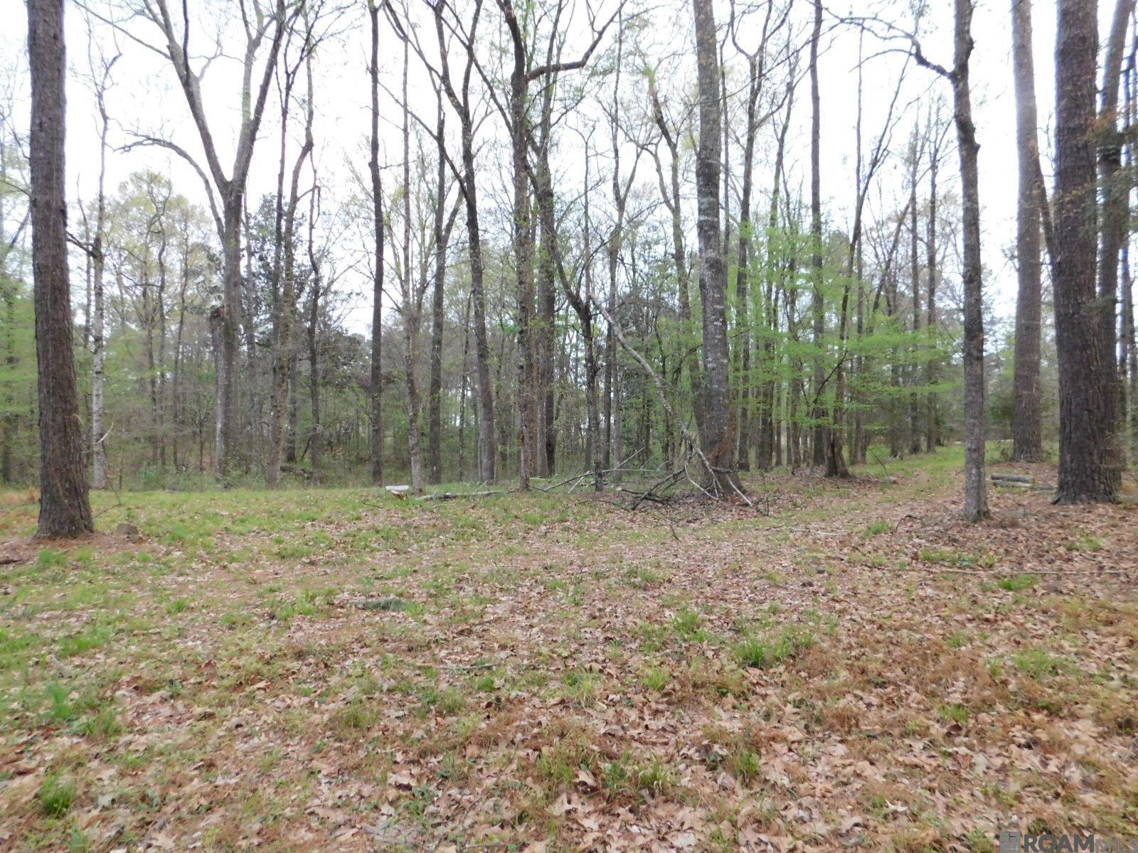 13812 Sweetwoods Hollow Dr, Saint Francisville, Louisiana image 4
