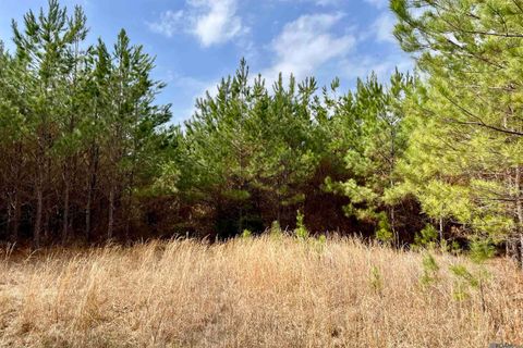Vacant Land For Sale - 02 Arkansas<br/> Union County, Marion, LA 71260