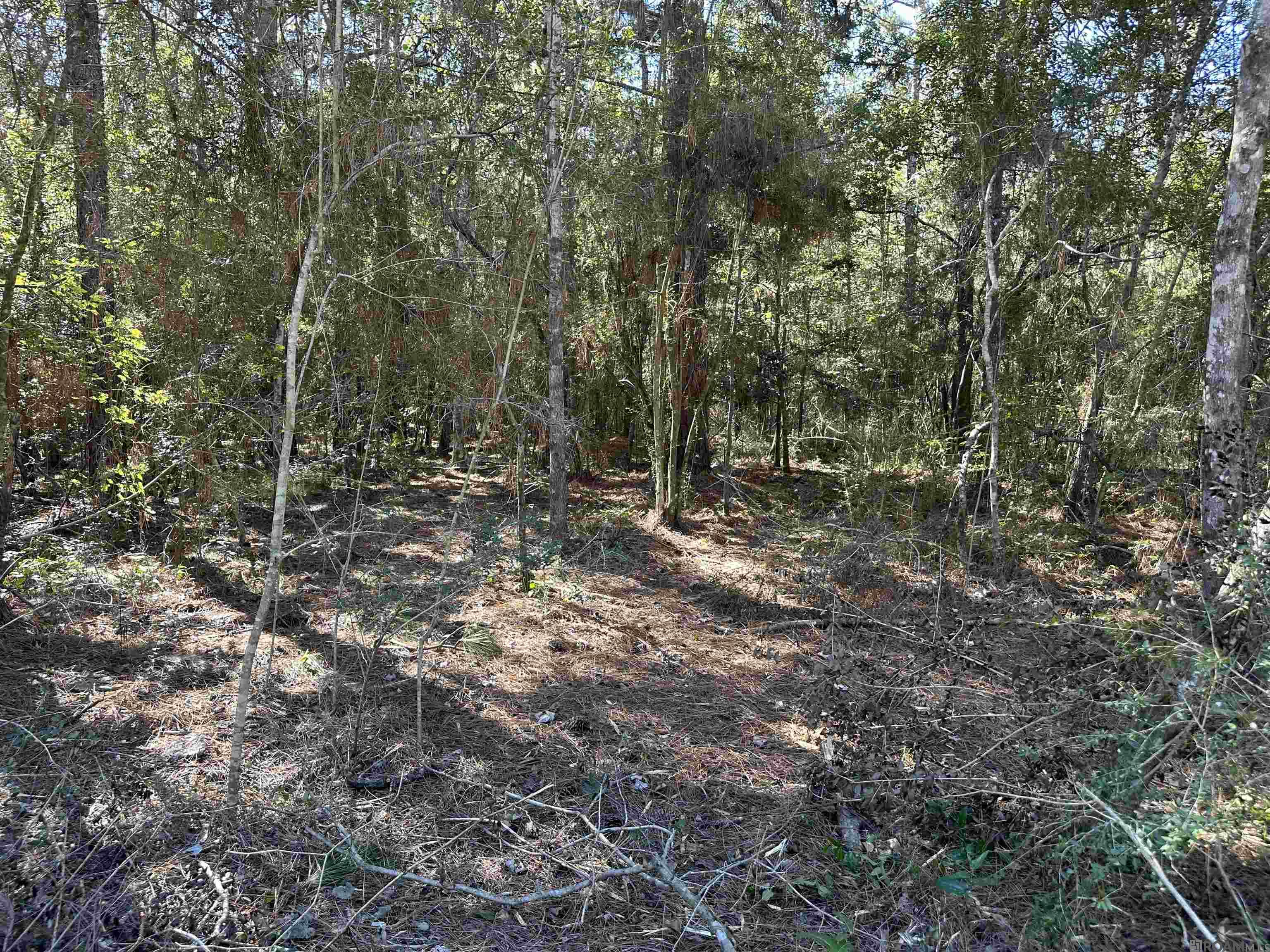 5.23 Acres Heritage Acres Ln, Robert, Louisiana image 11