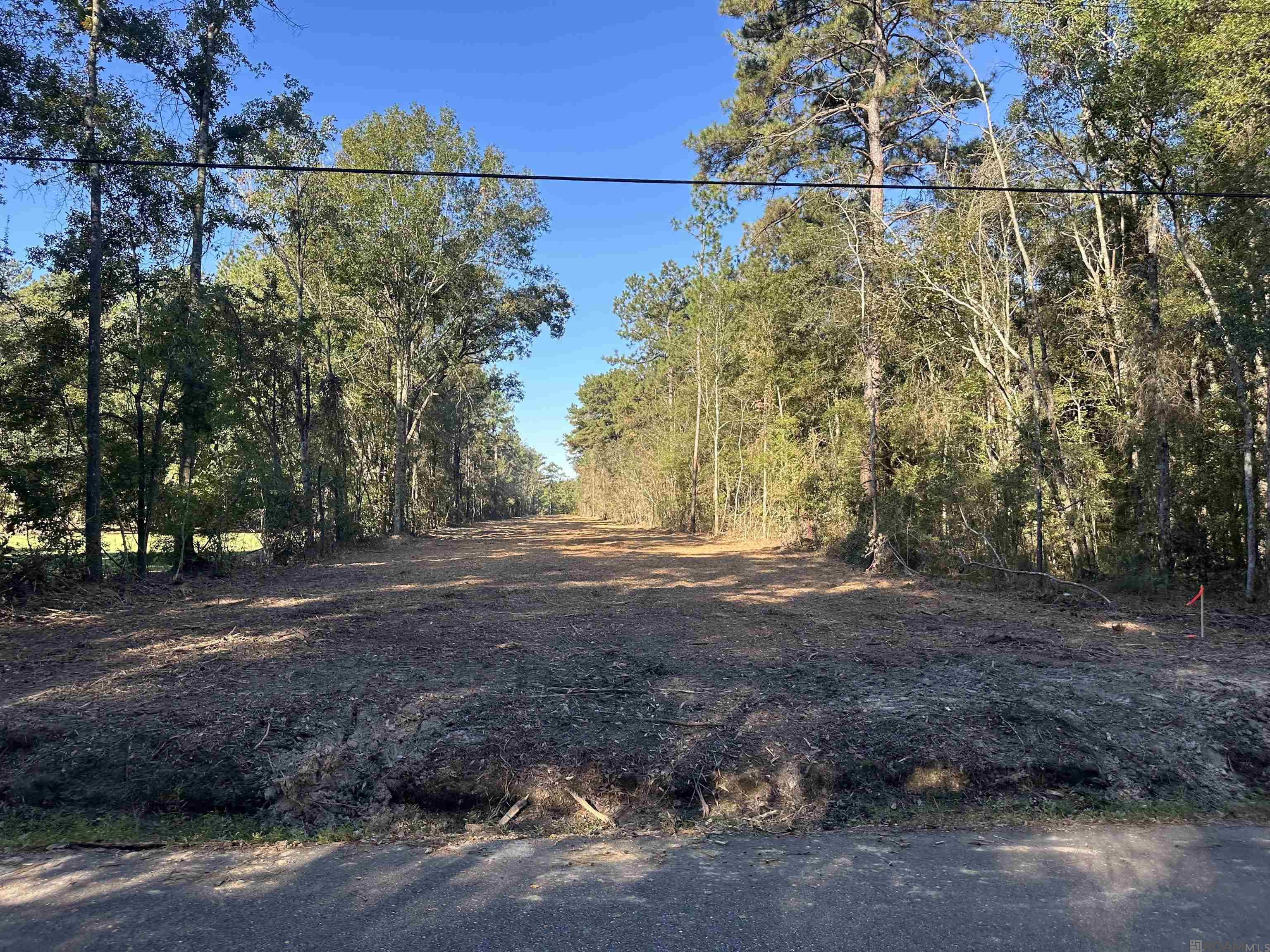 5.23 Acres Heritage Acres Ln, Robert, Louisiana image 14