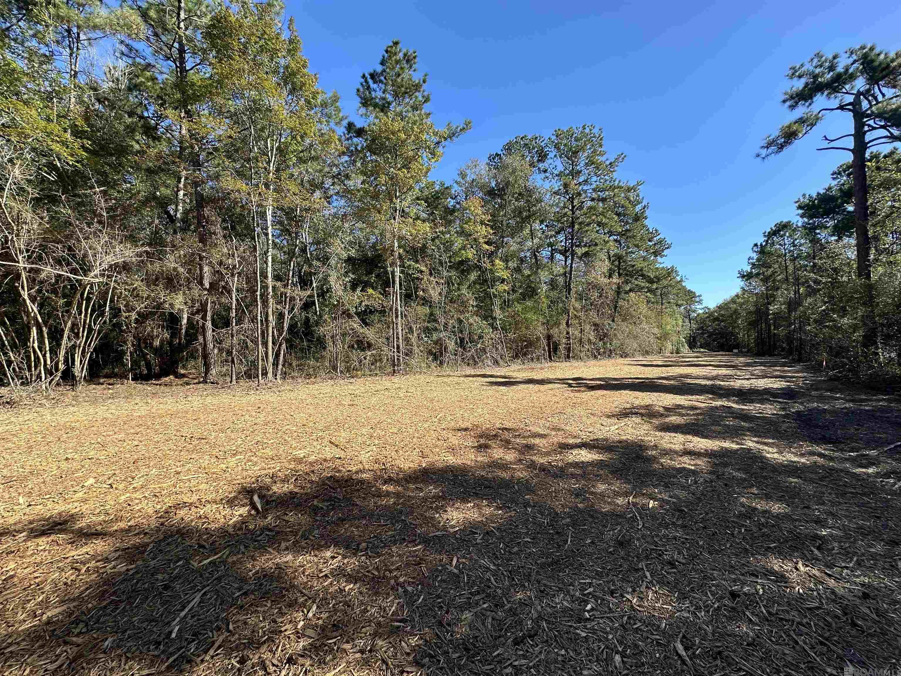 5.23 Acres Heritage Acres Ln, Robert, Louisiana image 8