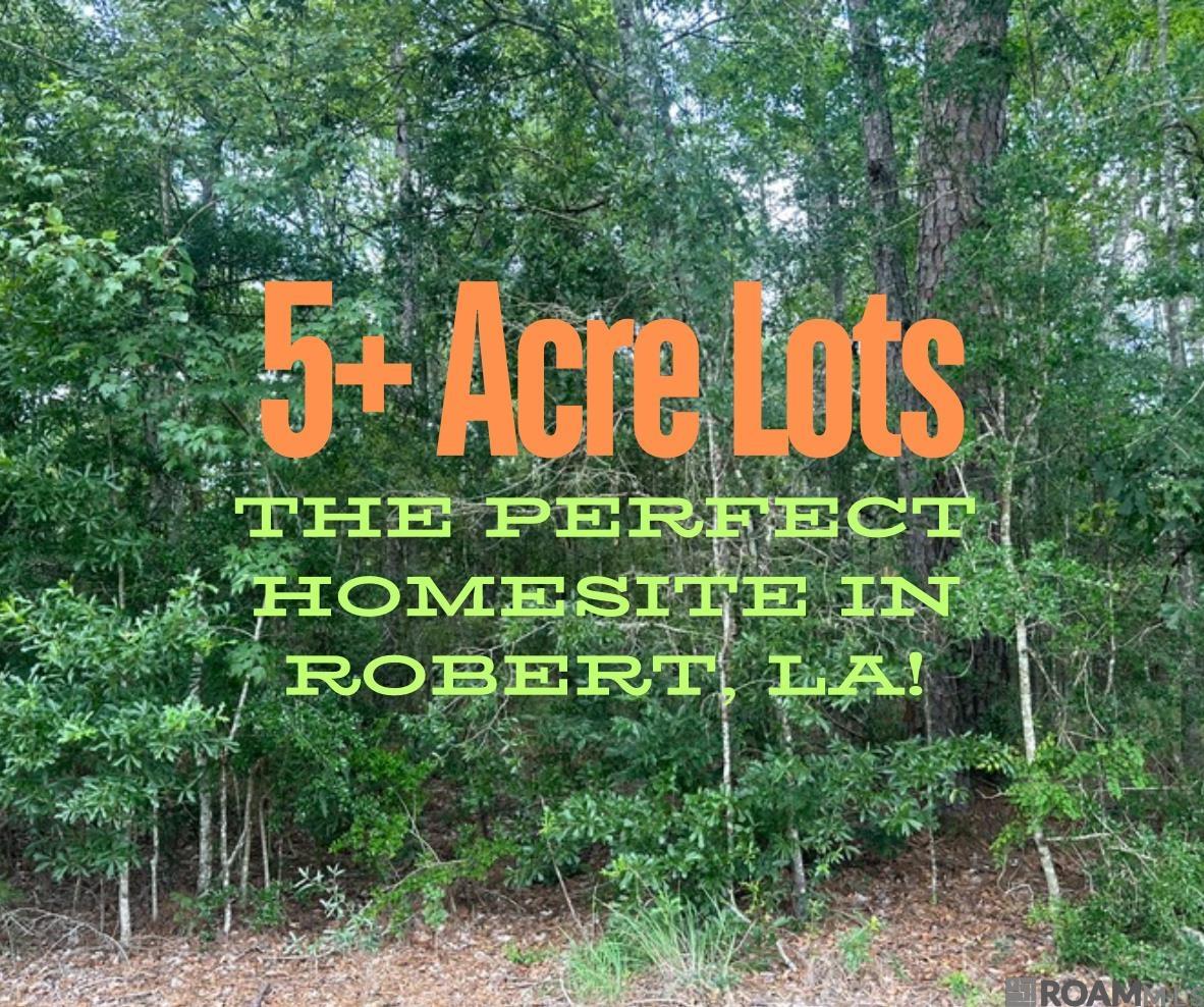 5.23 Acres Heritage Acres Ln, Robert, Louisiana image 3