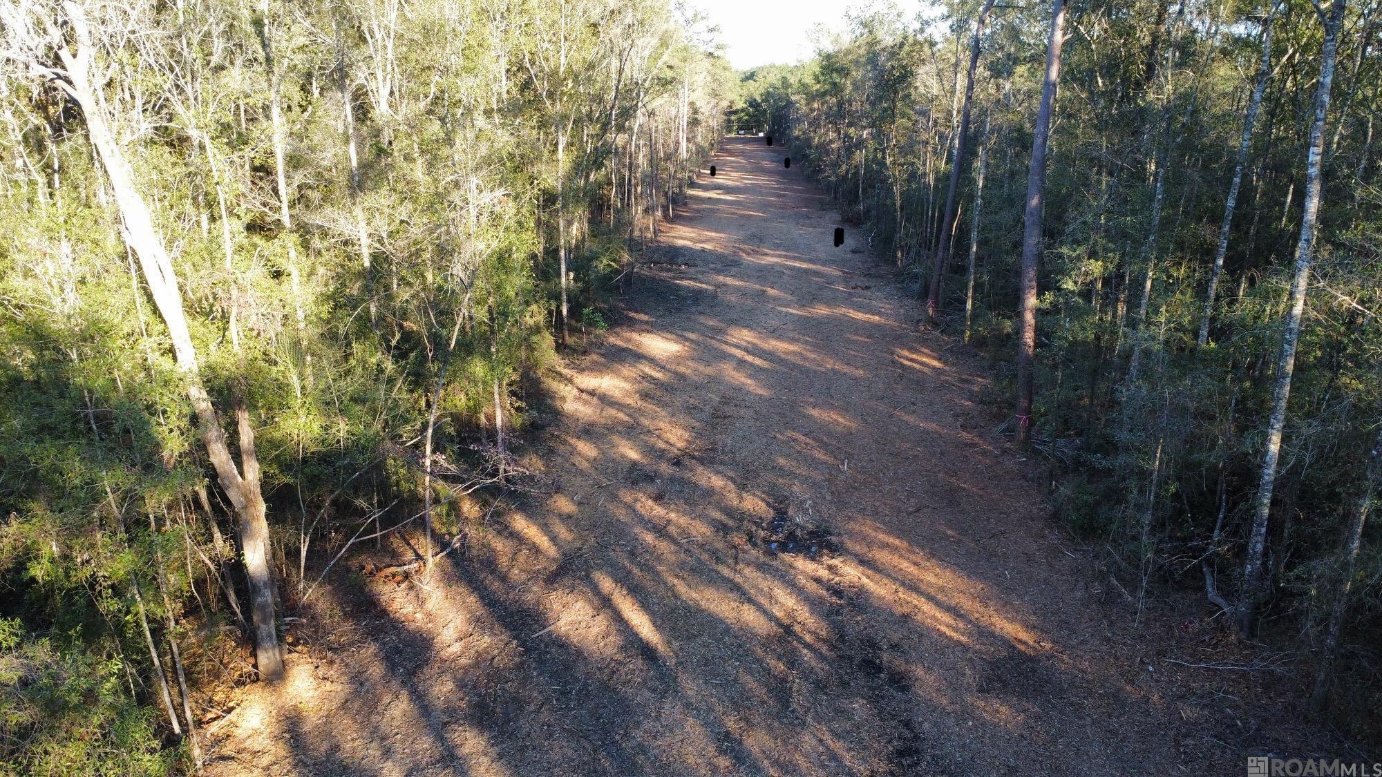 5.23 Acres Heritage Acres Ln, Robert, Louisiana image 20