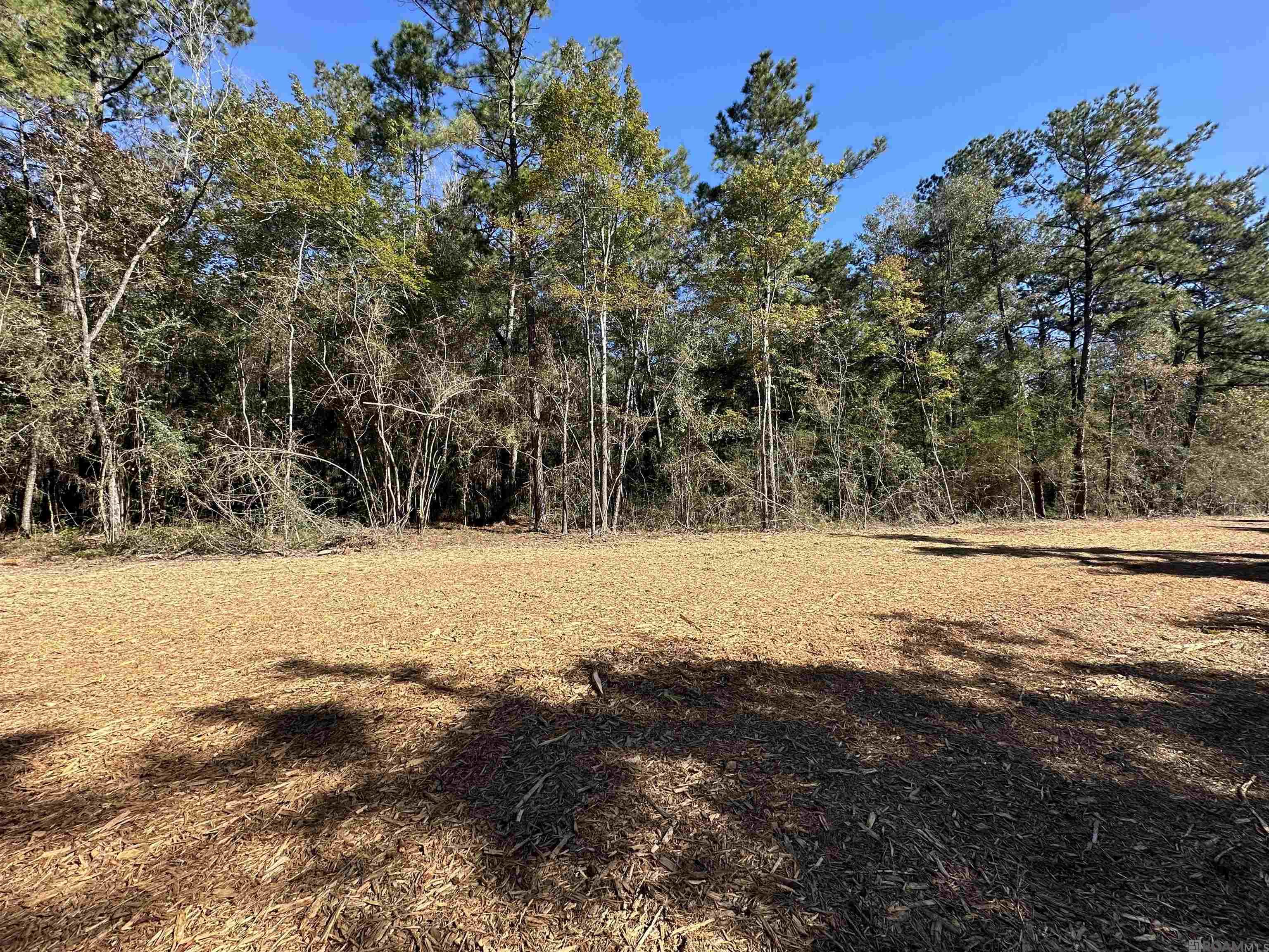 5.23 Acres Heritage Acres Ln, Robert, Louisiana image 9