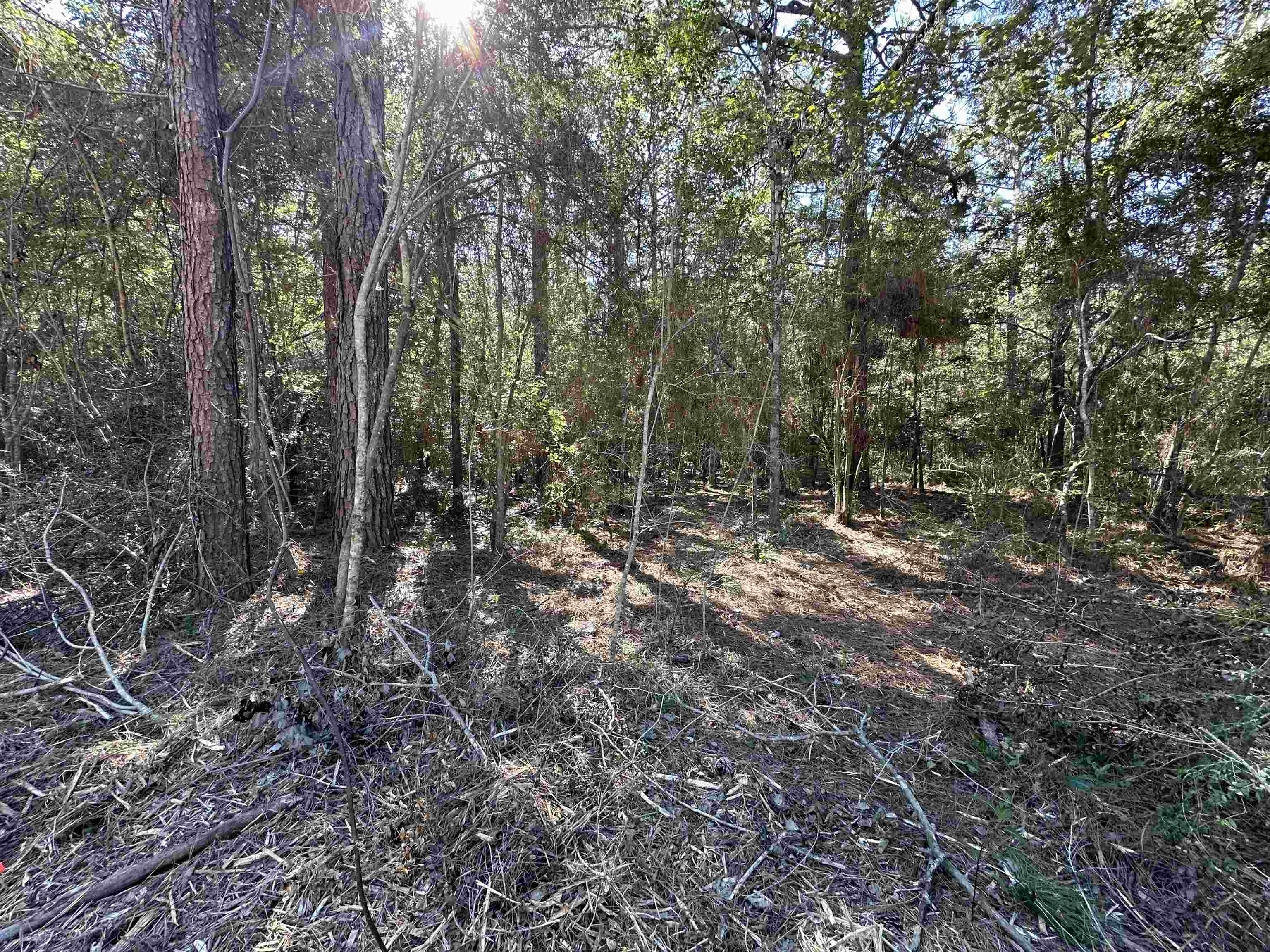 5.23 Acres Heritage Acres Ln, Robert, Louisiana image 10