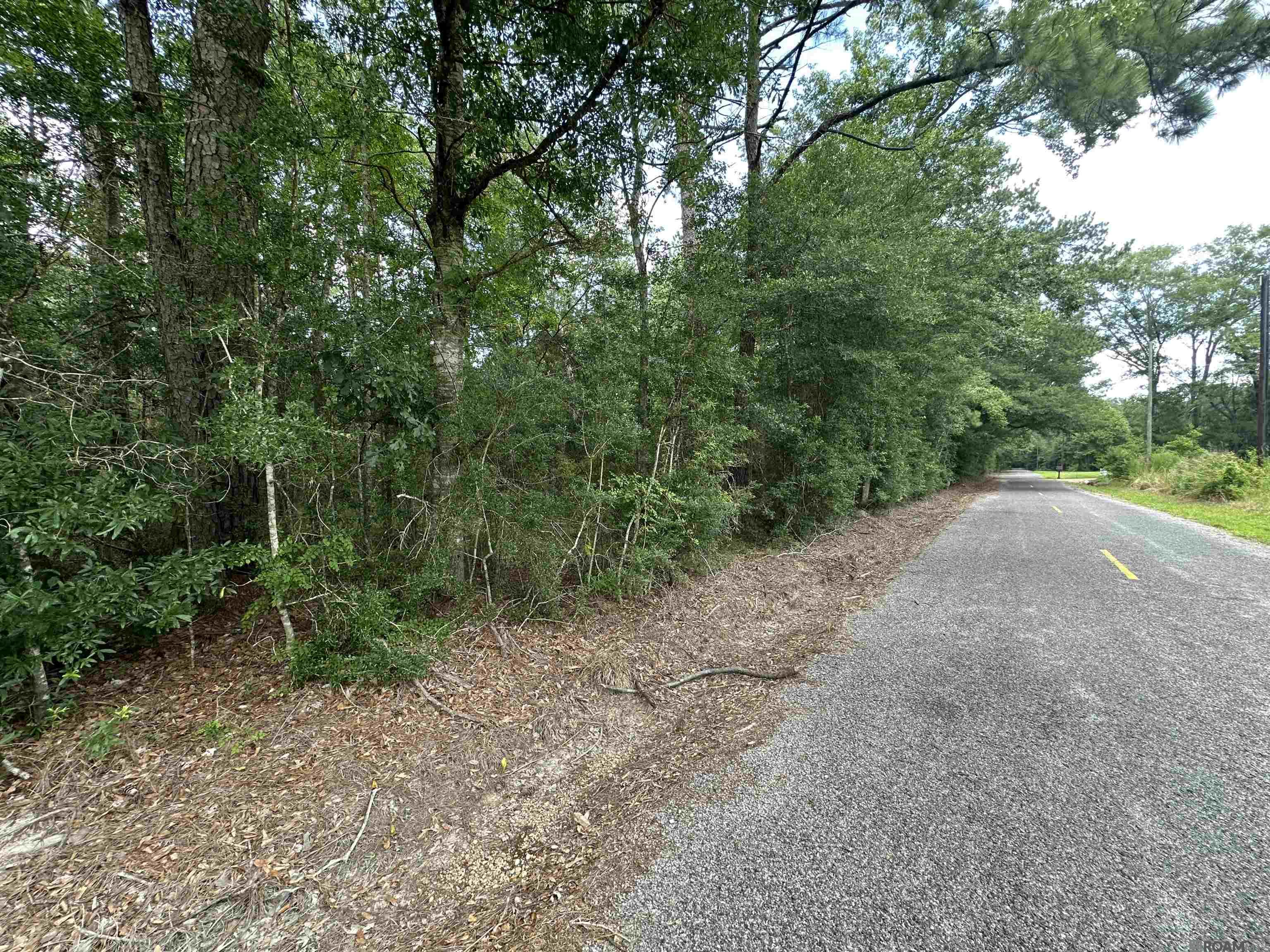 5.23 Acres Heritage Acres Ln, Robert, Louisiana image 18