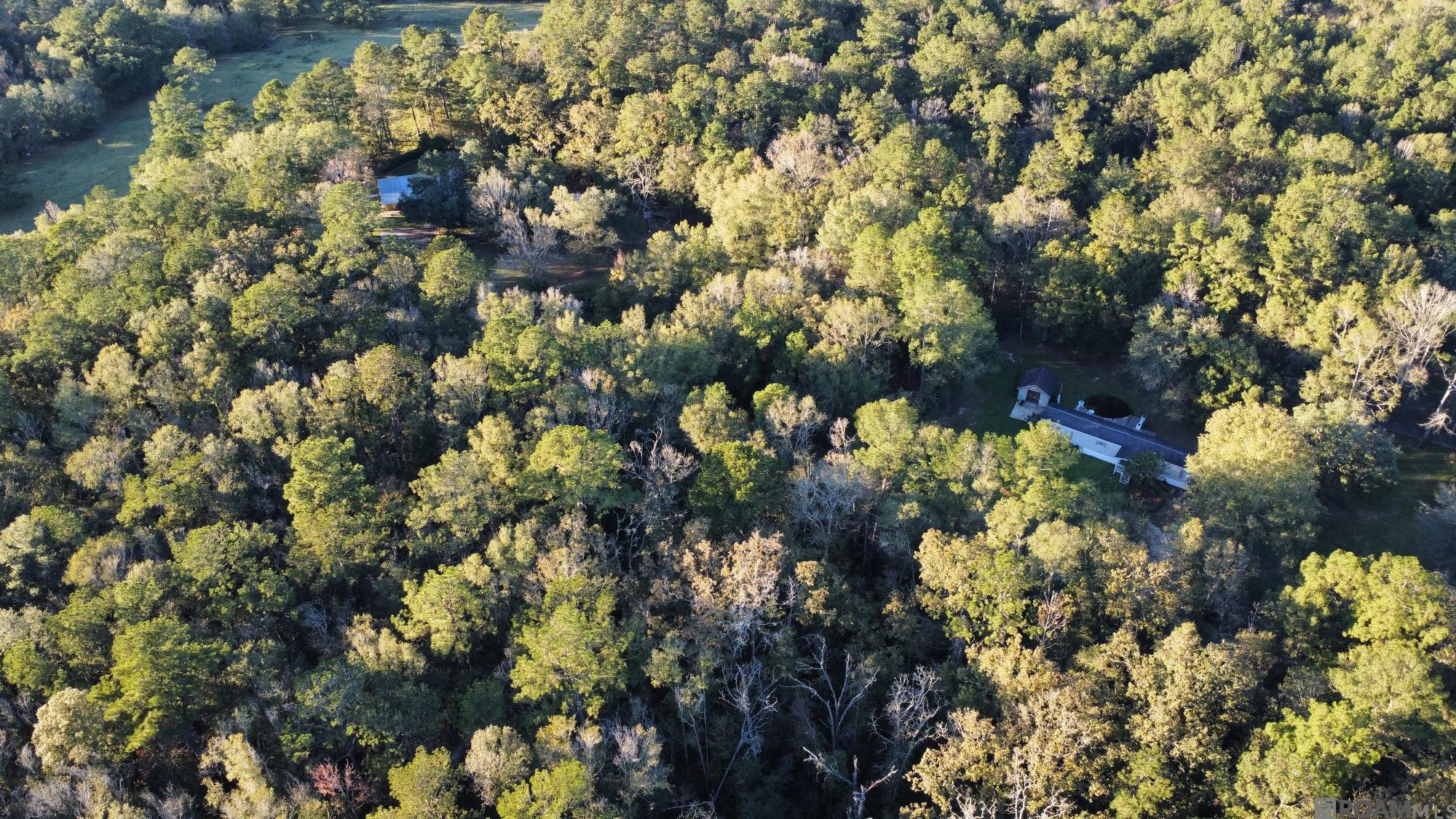 5.23 Acres Heritage Acres Ln, Robert, Louisiana image 7