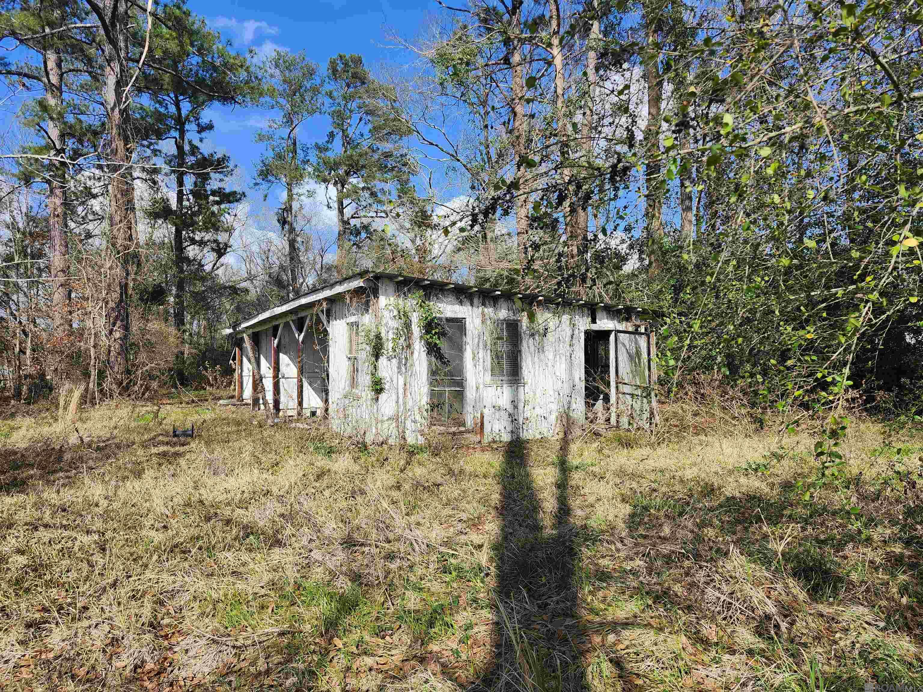 13681 Burgess Ave, Walker, Louisiana image 2