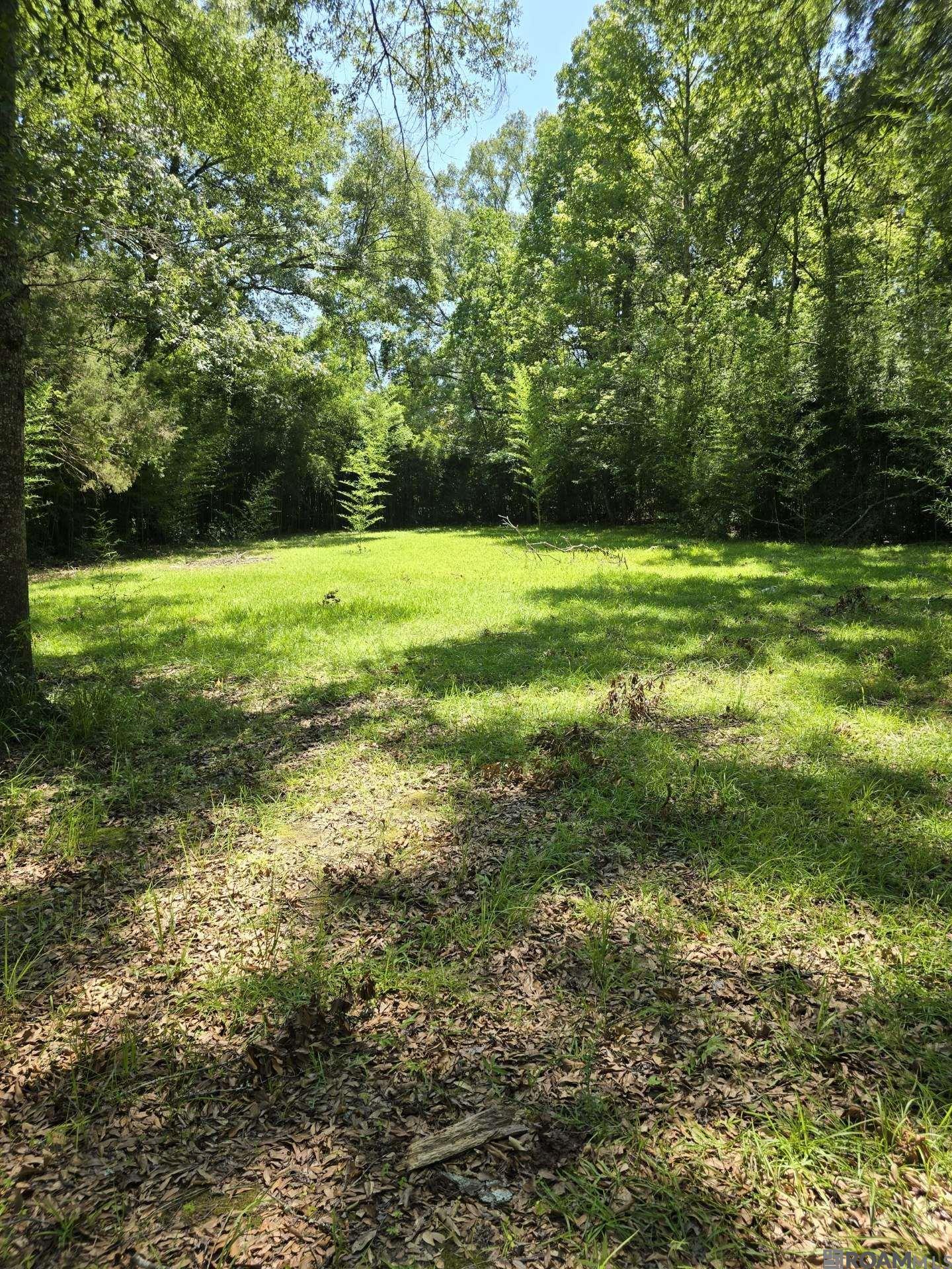 7215 Lower Zachary Rd, Zachary, Louisiana image 3