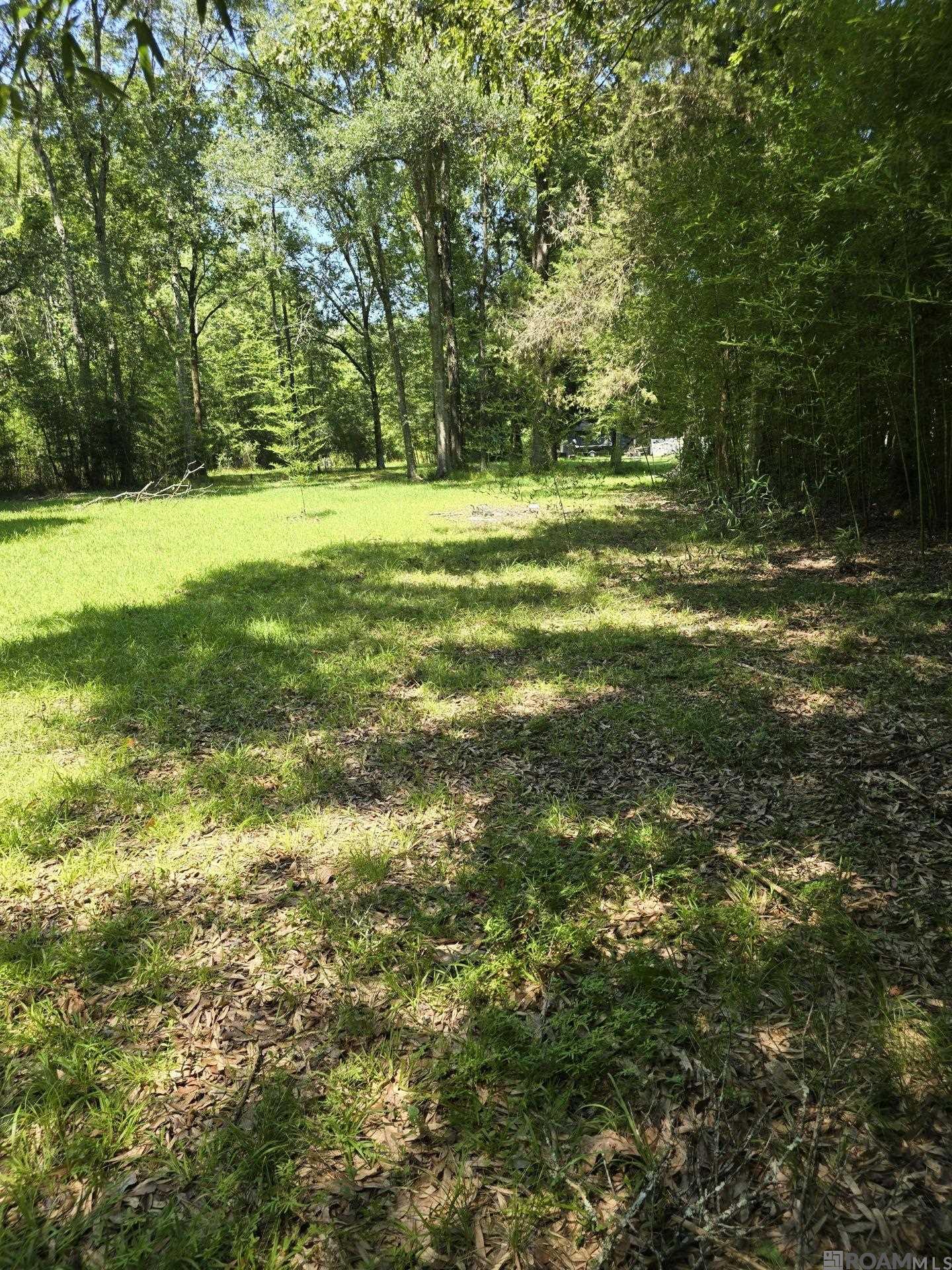 7215 Lower Zachary Rd, Zachary, Louisiana image 1