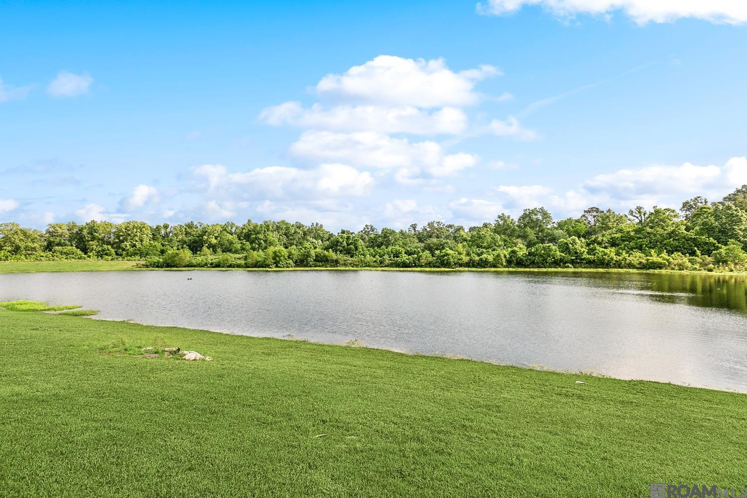 13937 Keever Ave, Baton Rouge, Louisiana image 20