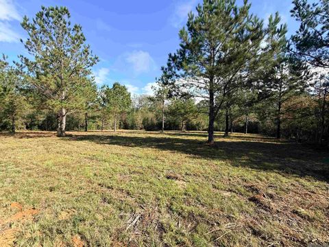Vacant Land For Sale - 66238 La Hwy 1058<br/> Roseland, LA 70456