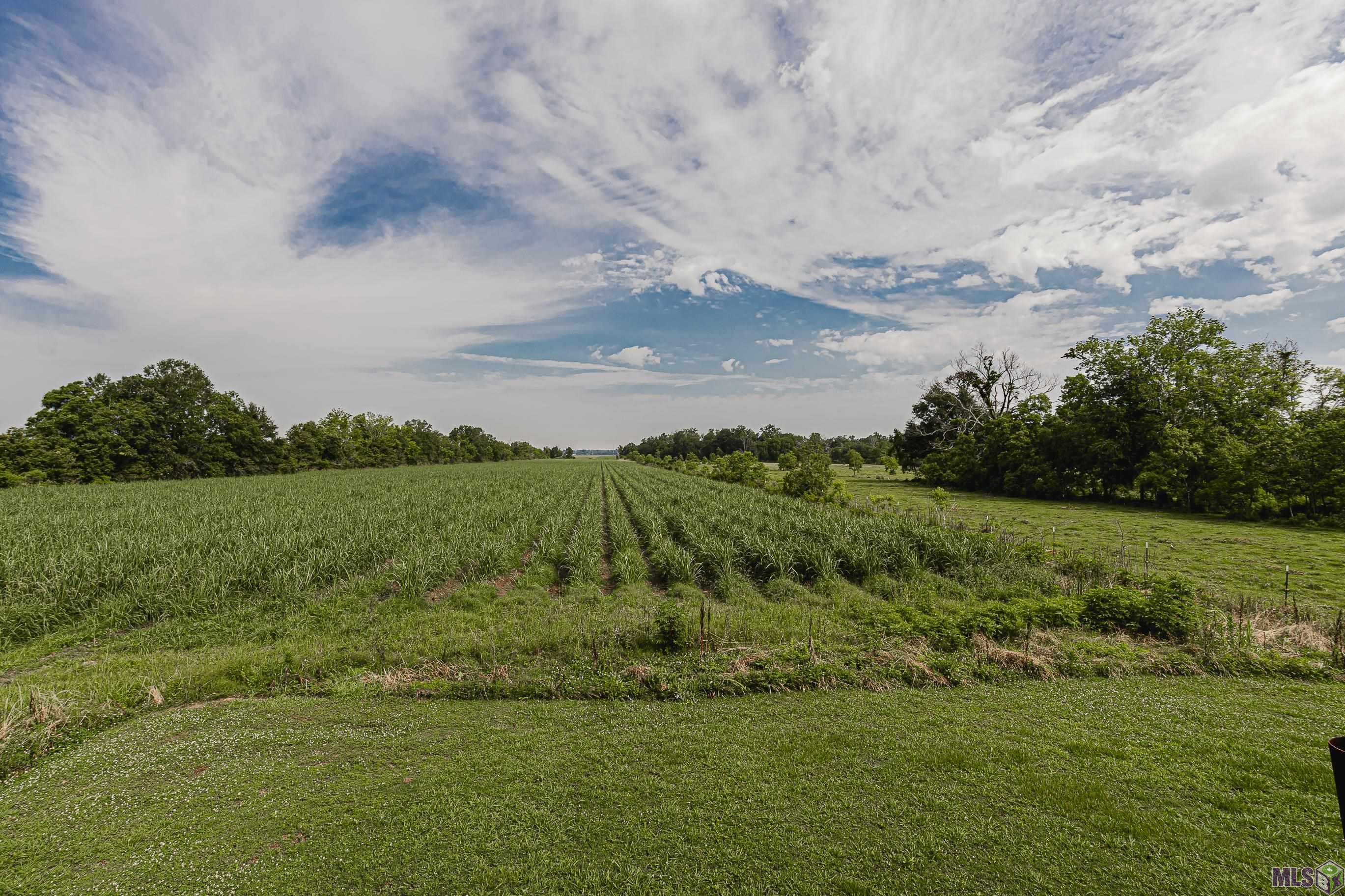 28400 La Hwy 405, Plaquemine, Louisiana image 24