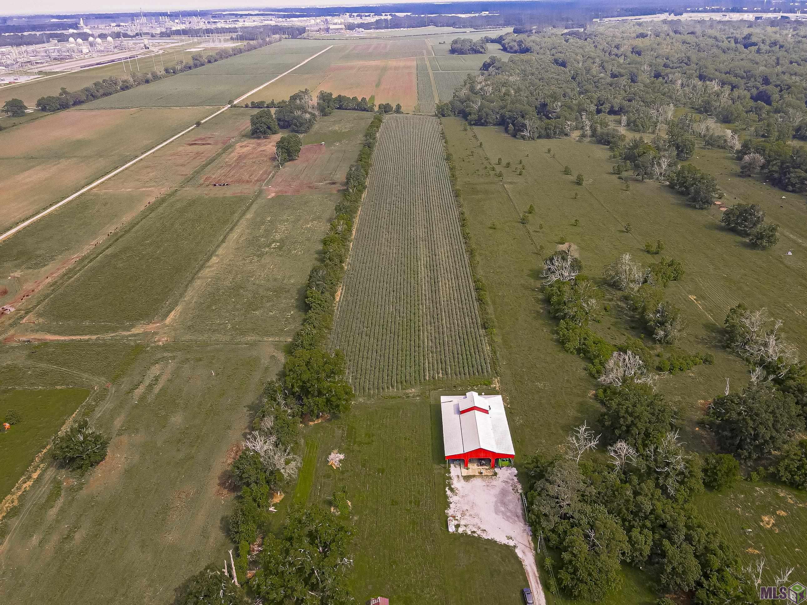 28400 La Hwy 405, Plaquemine, Louisiana image 2