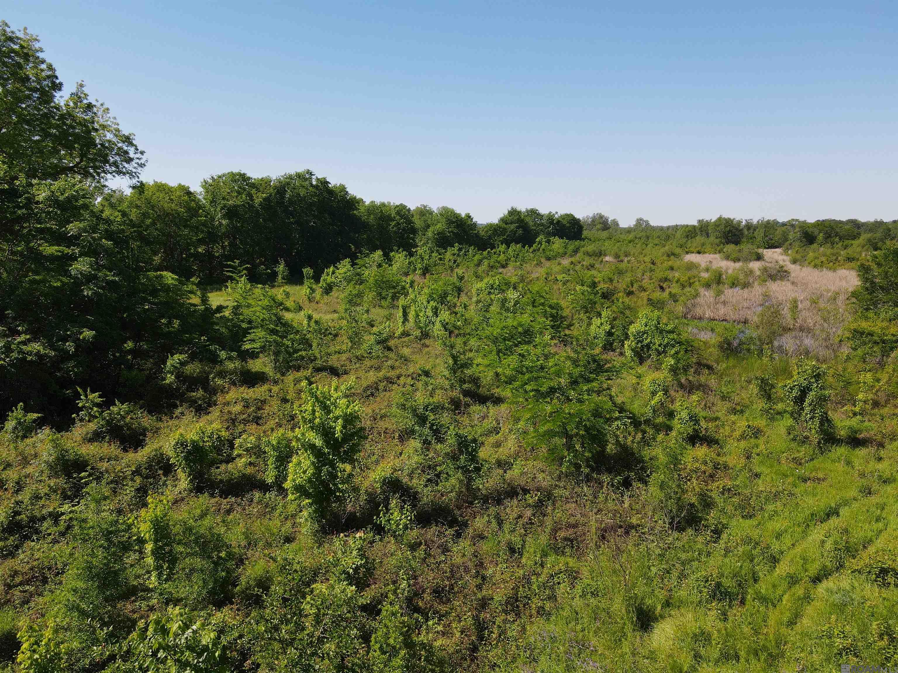 14974 Hwy 1, Cloutierville, Louisiana image 11