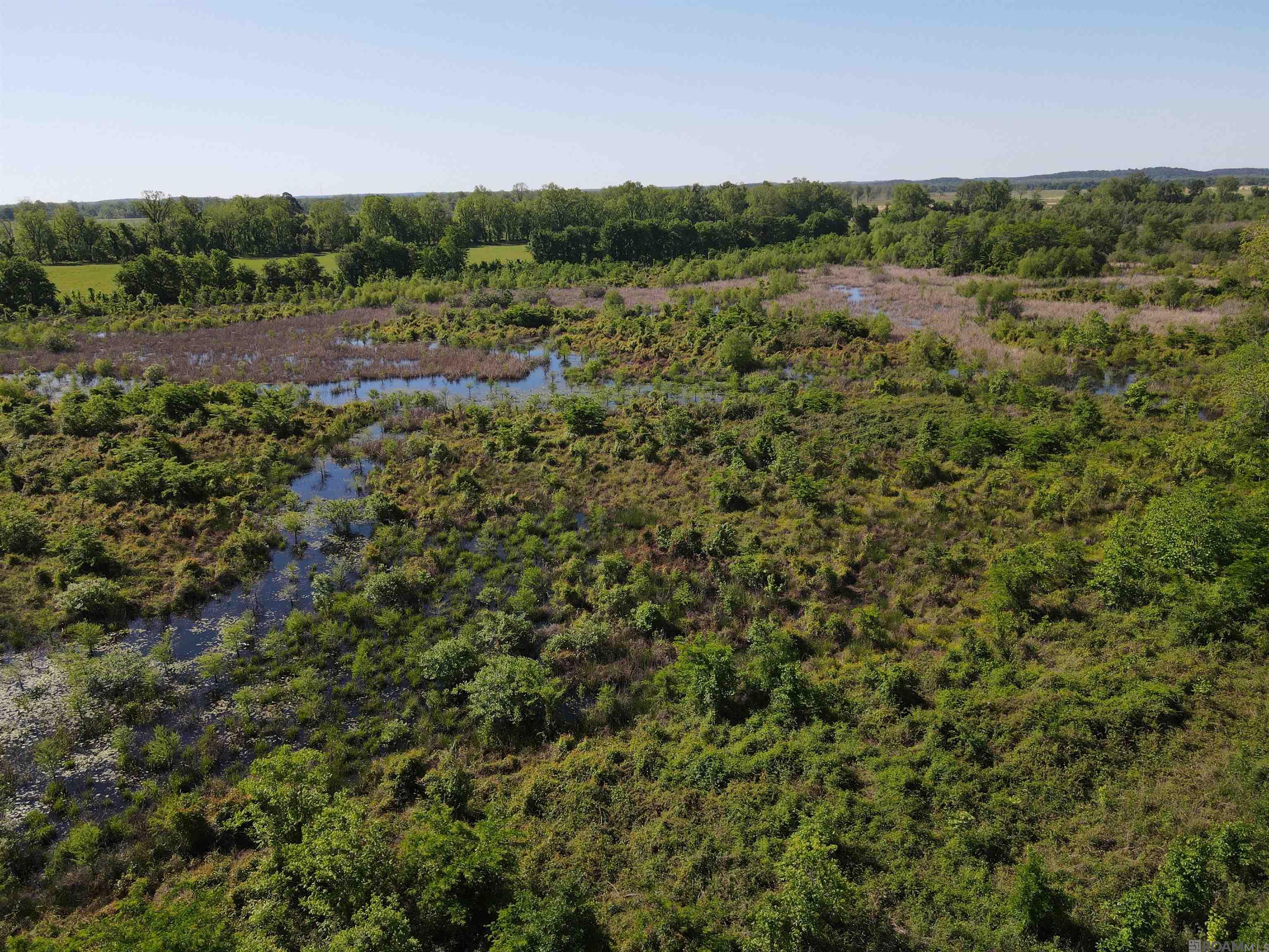 14974 Hwy 1, Cloutierville, Louisiana image 3