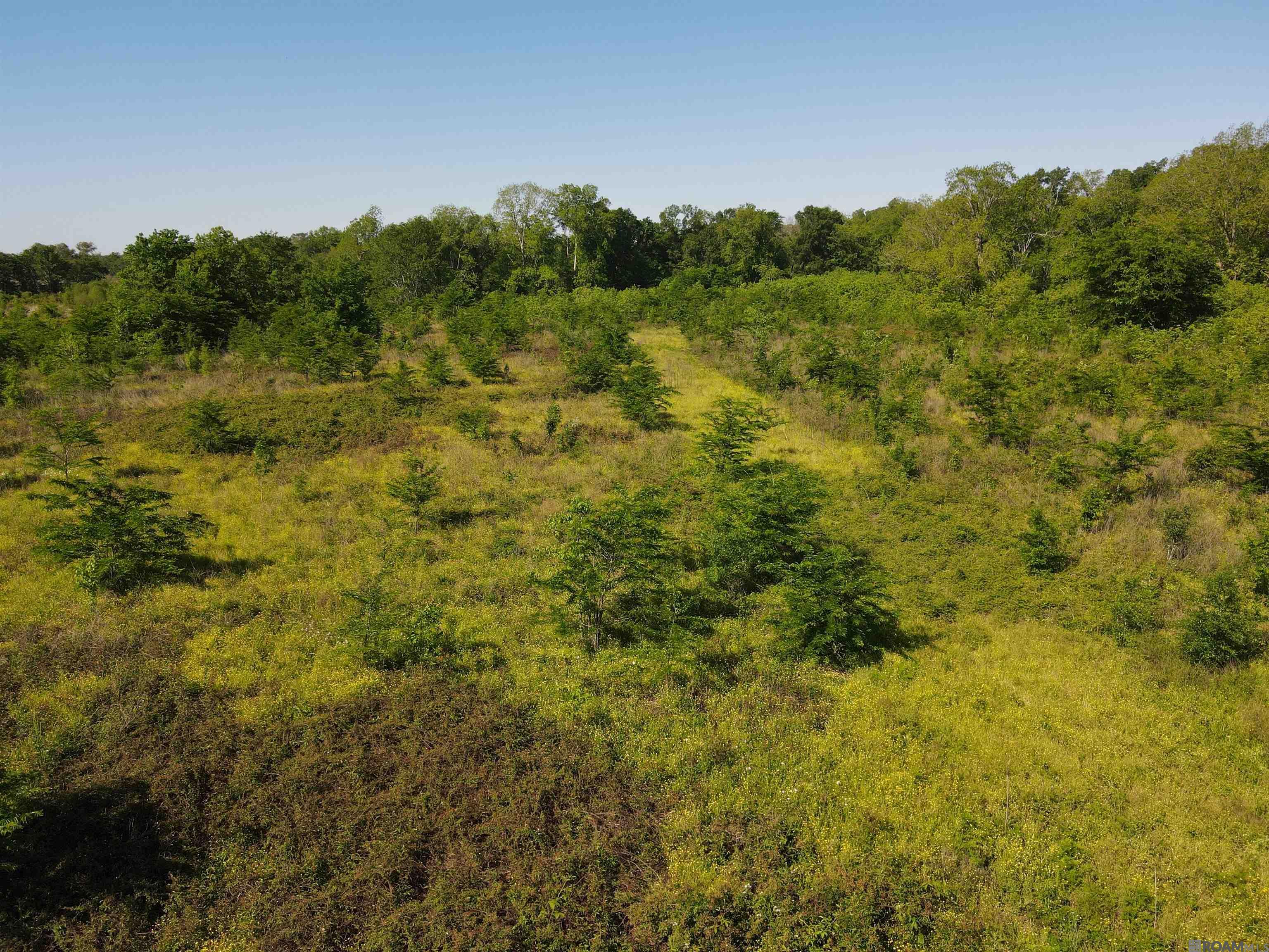 14974 Hwy 1, Cloutierville, Louisiana image 4