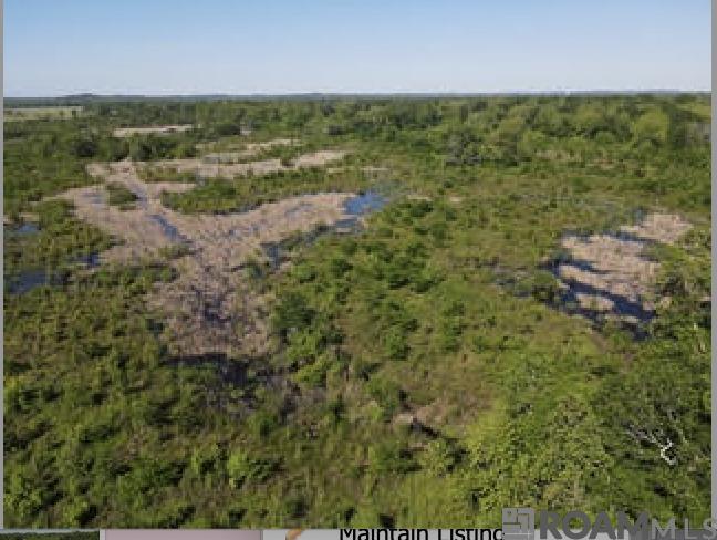 14974 Hwy 1, Cloutierville, Louisiana image 1
