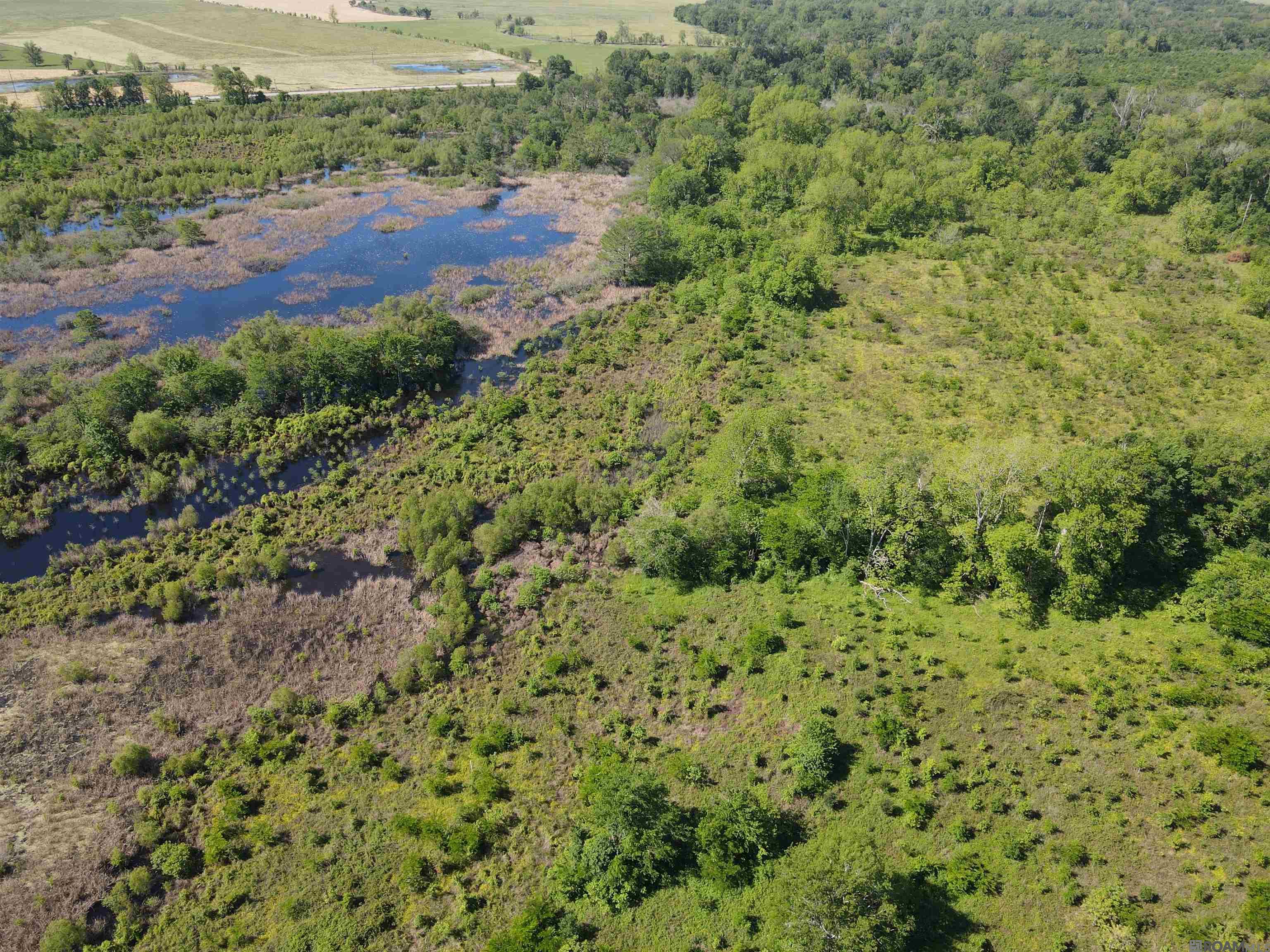 14974 Hwy 1, Cloutierville, Louisiana image 13