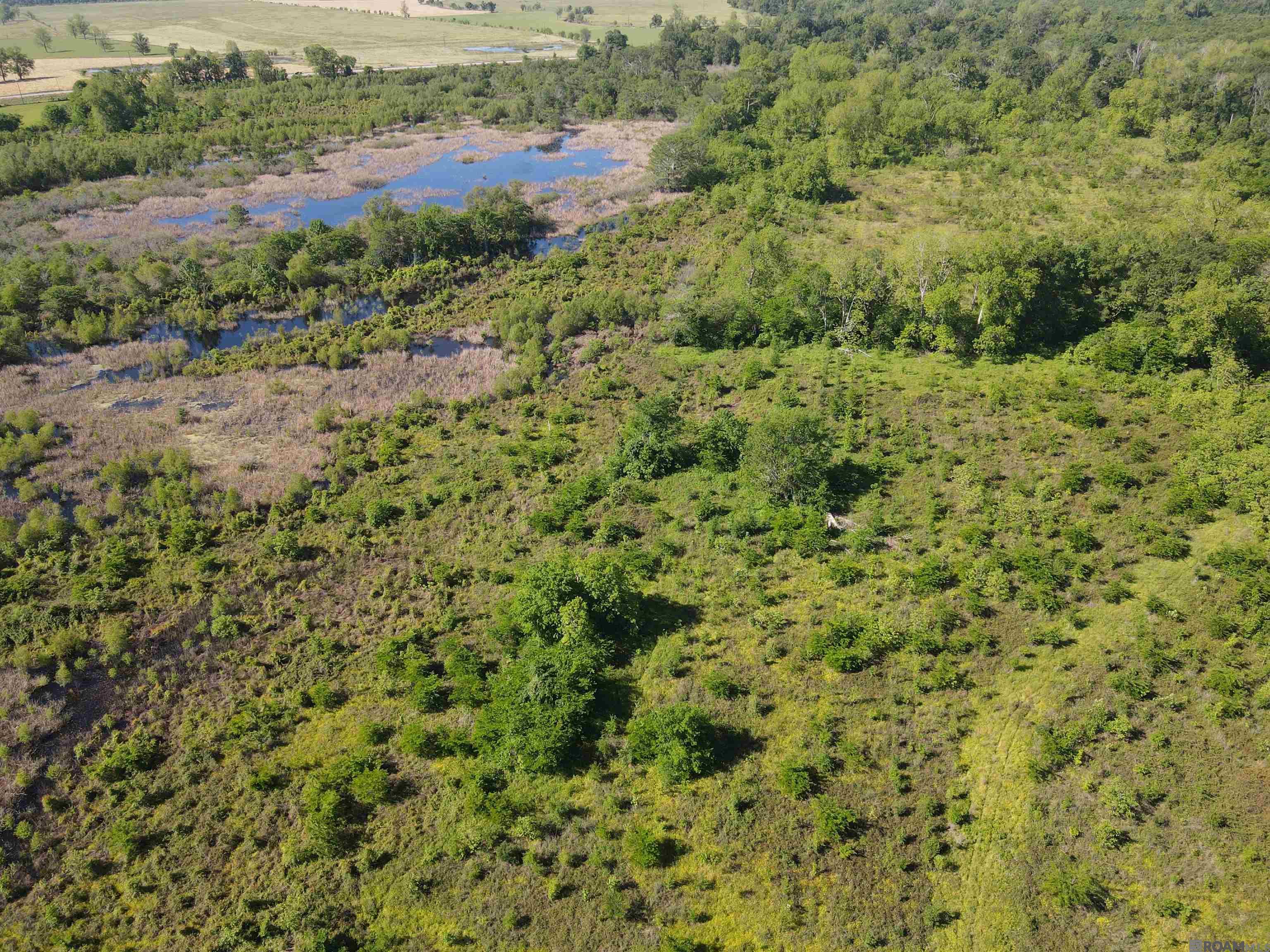 14974 Hwy 1, Cloutierville, Louisiana image 5