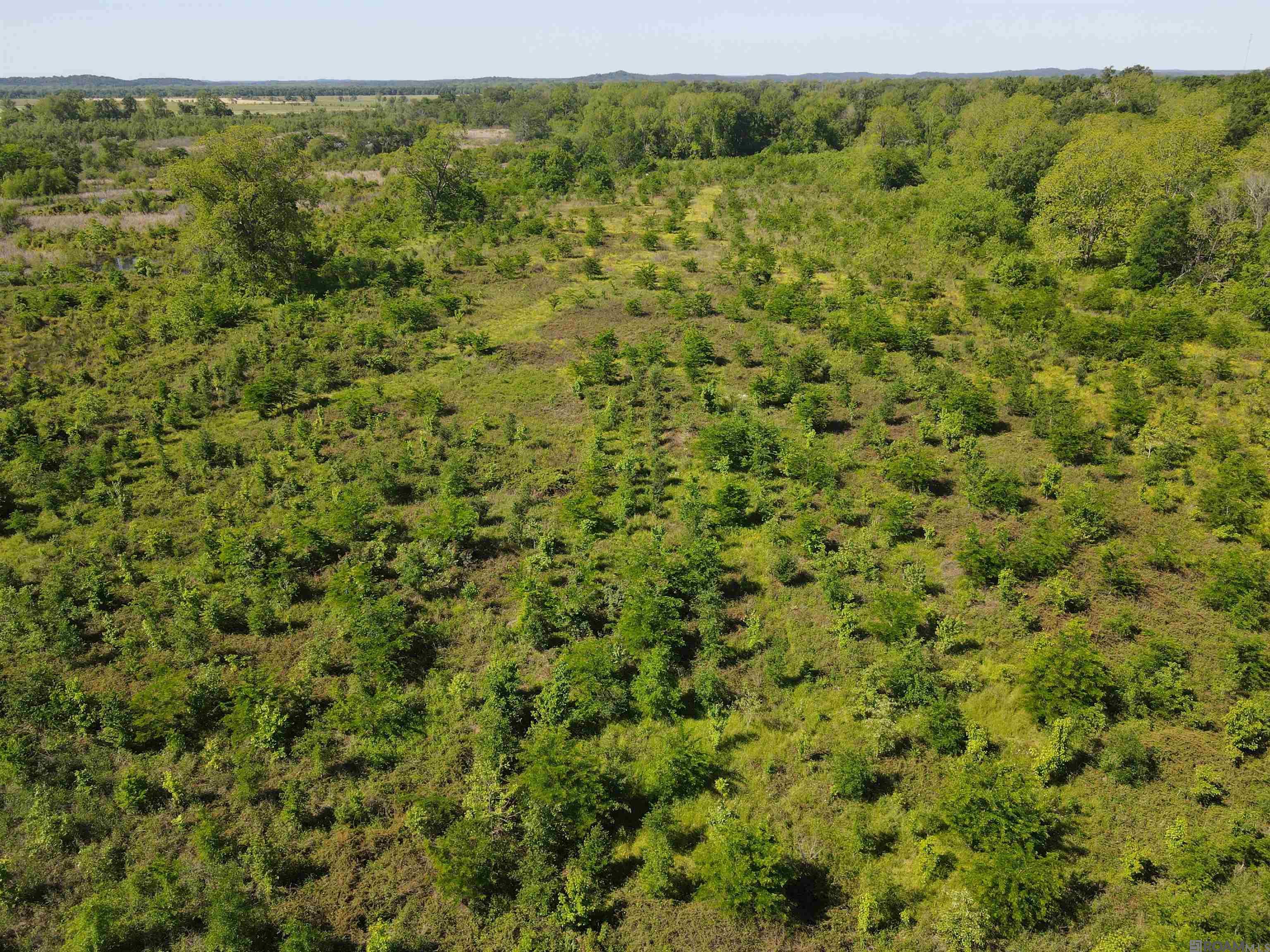 14974 Hwy 1, Cloutierville, Louisiana image 12