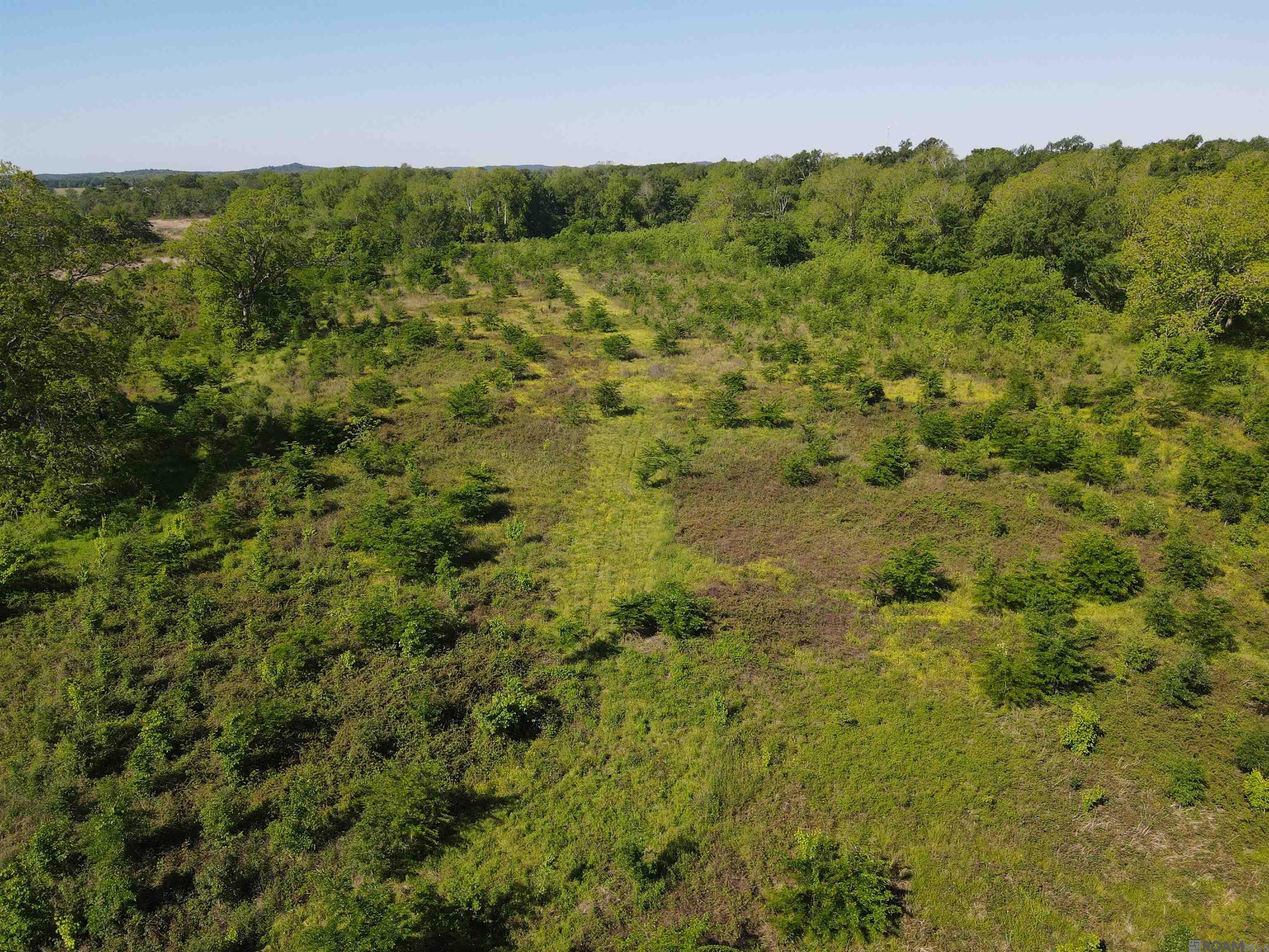 14974 Hwy 1, Cloutierville, Louisiana image 2