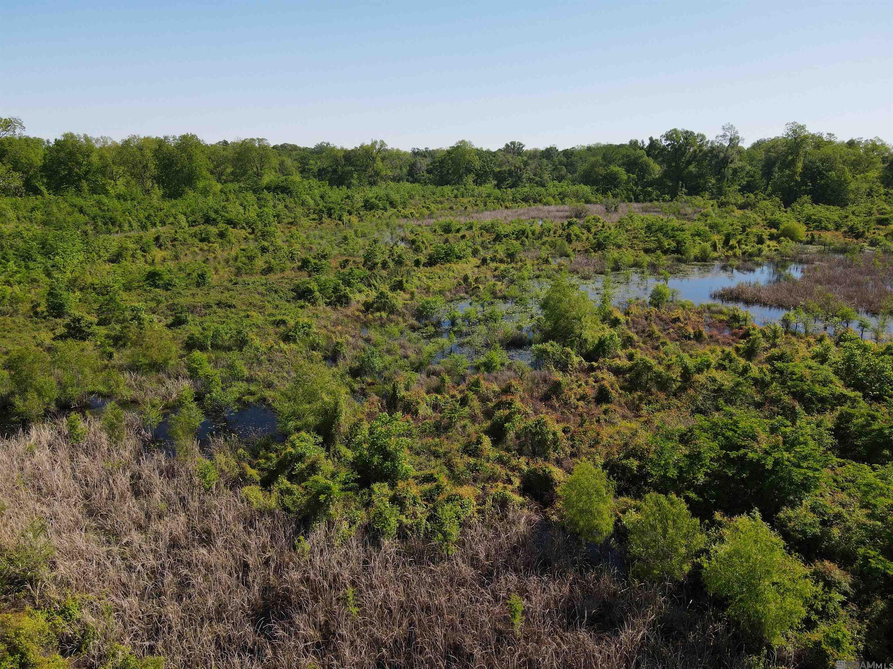 14974 Hwy 1, Cloutierville, Louisiana image 10
