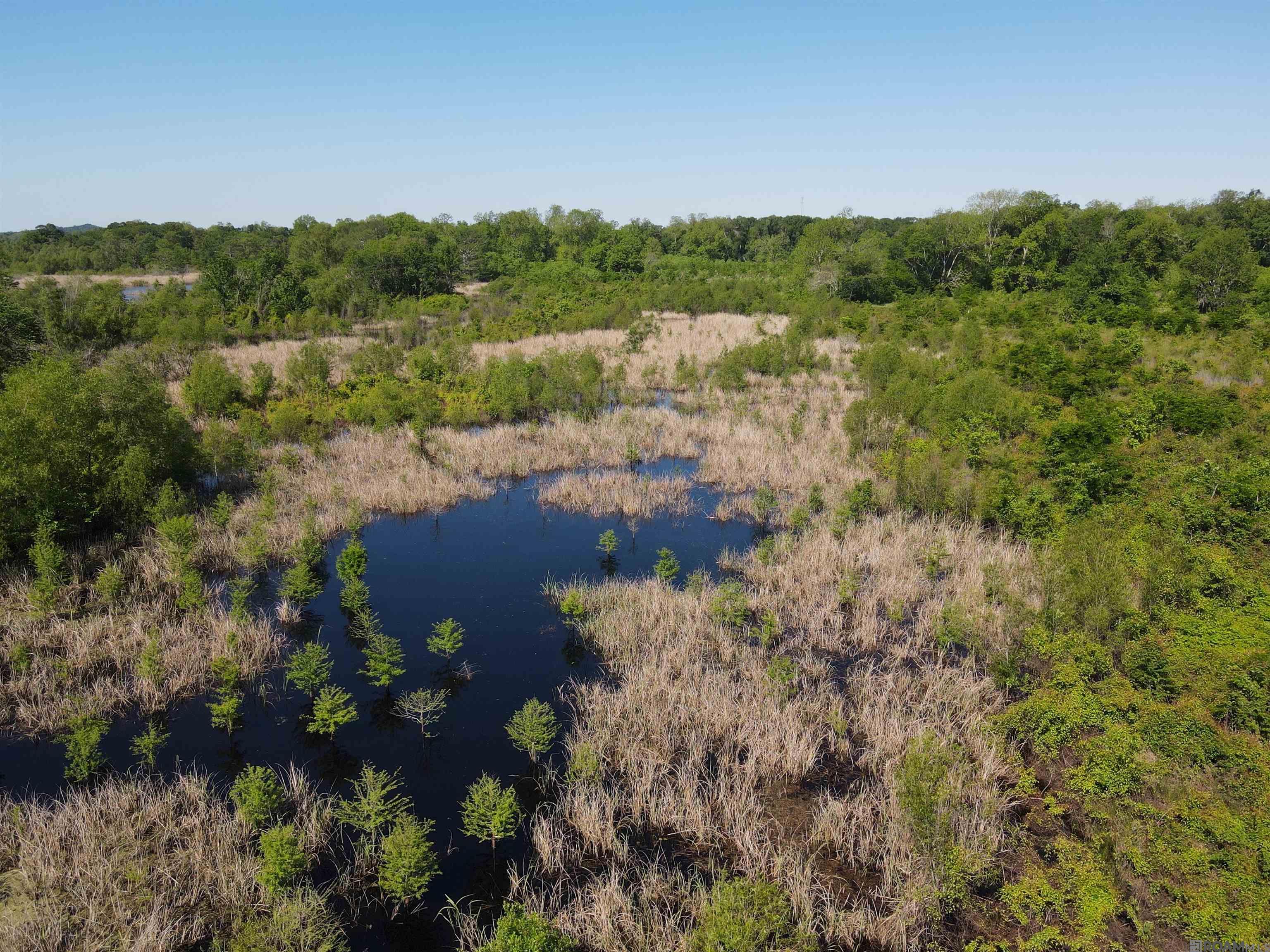 14974 Hwy 1, Cloutierville, Louisiana image 9