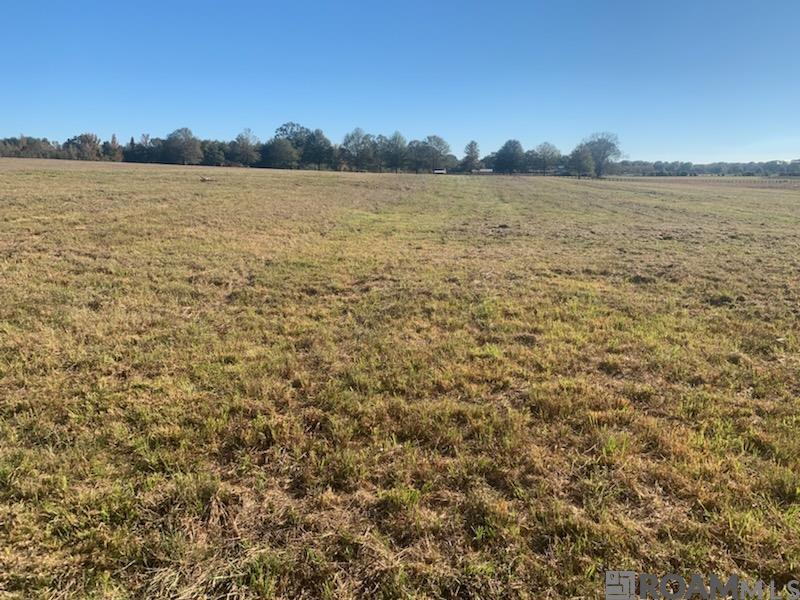 E-1-E-1-B N Plank Rd, Zachary, Louisiana image 1