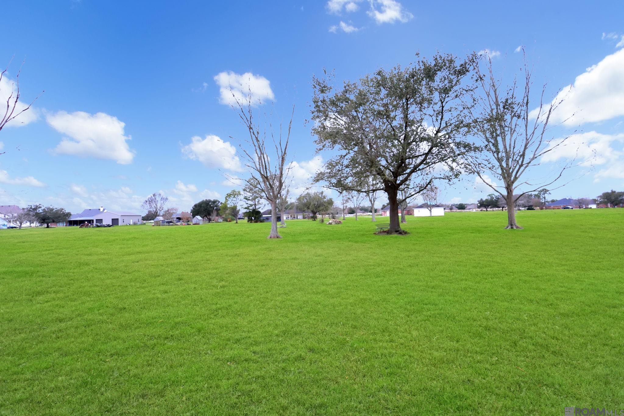 6064 La Hwy 44, Gonzales, Louisiana image 14
