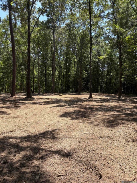 Vacant Land For Sale - 23686 La Hwy 442<br/> Livingston County, Independence, LA 70443