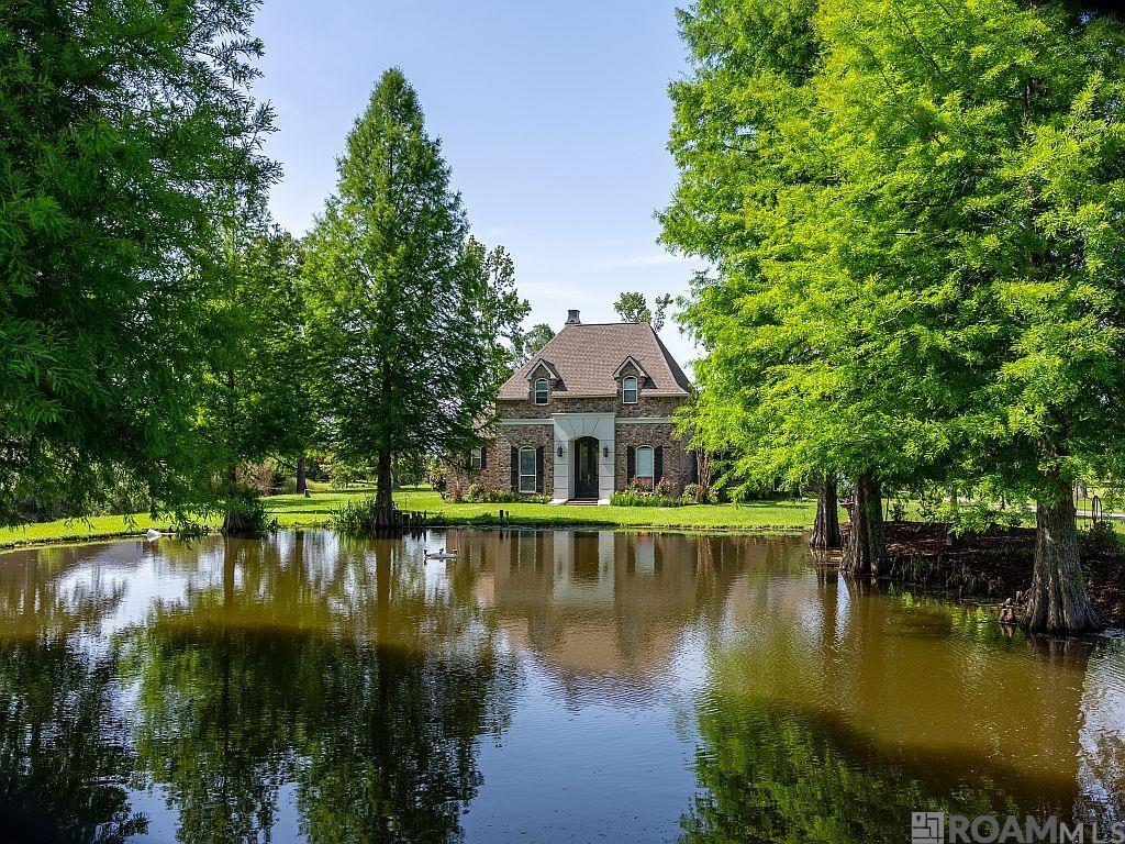 40400 Abby James Rd, Prairieville, Louisiana image 1