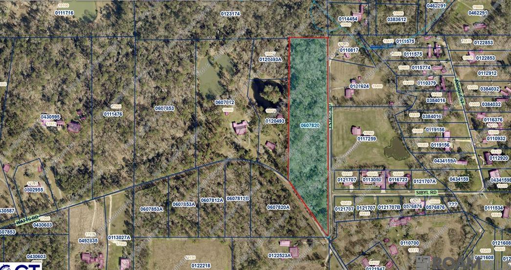 TBD Estate Rd, Livingston, Louisiana image 1