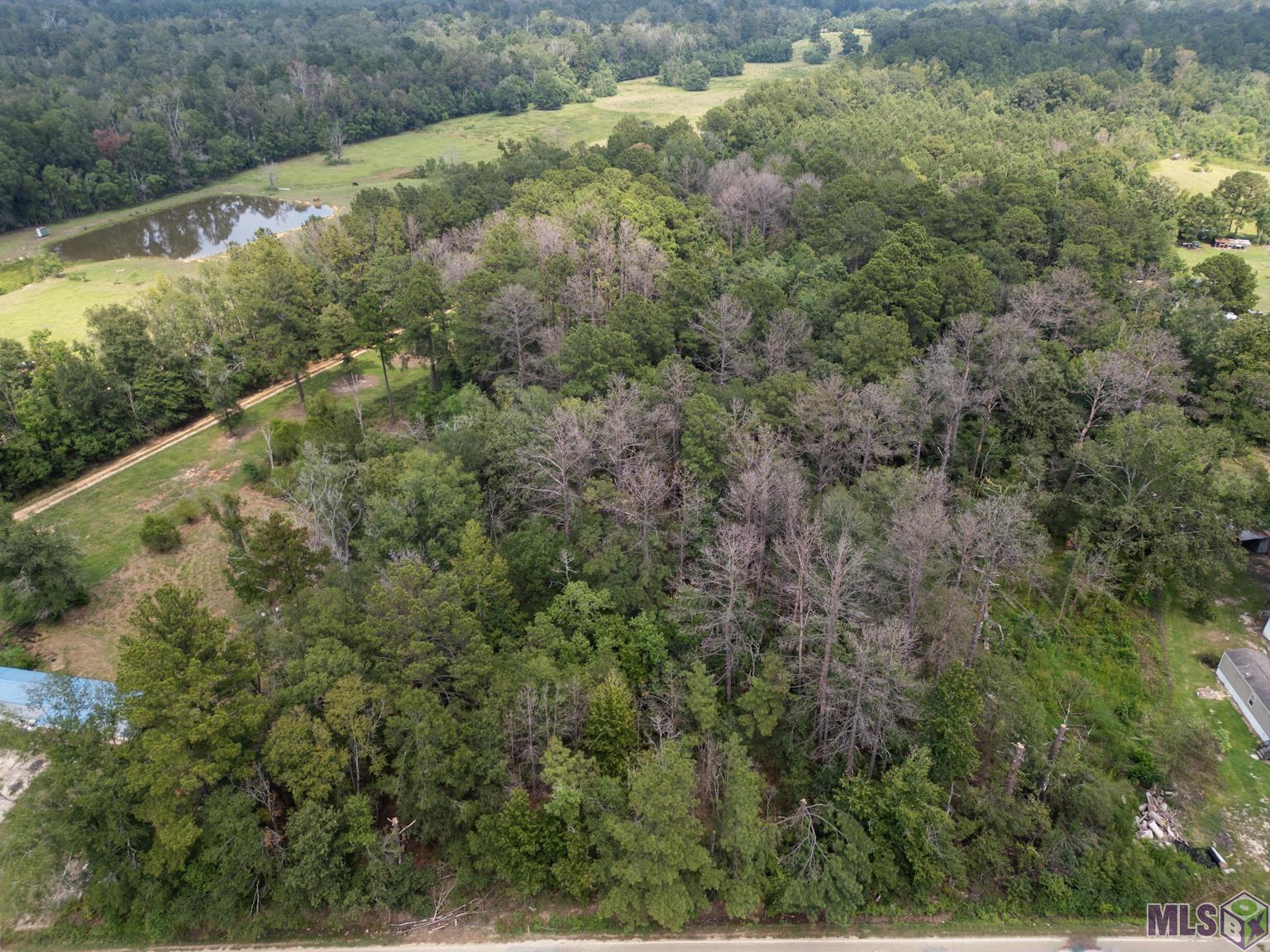 Hano Rd, Independence, Louisiana image 4