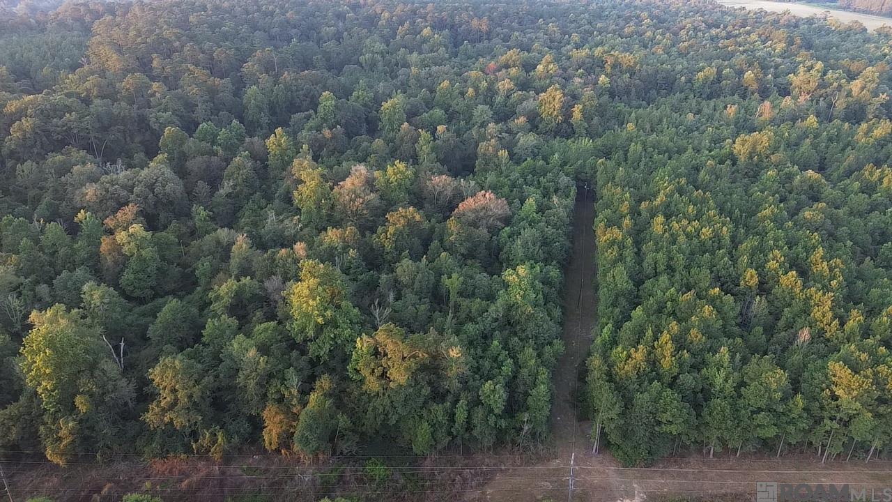 Tract A-6 & A-7 Crawford Rd, Franklinton, Louisiana image 8