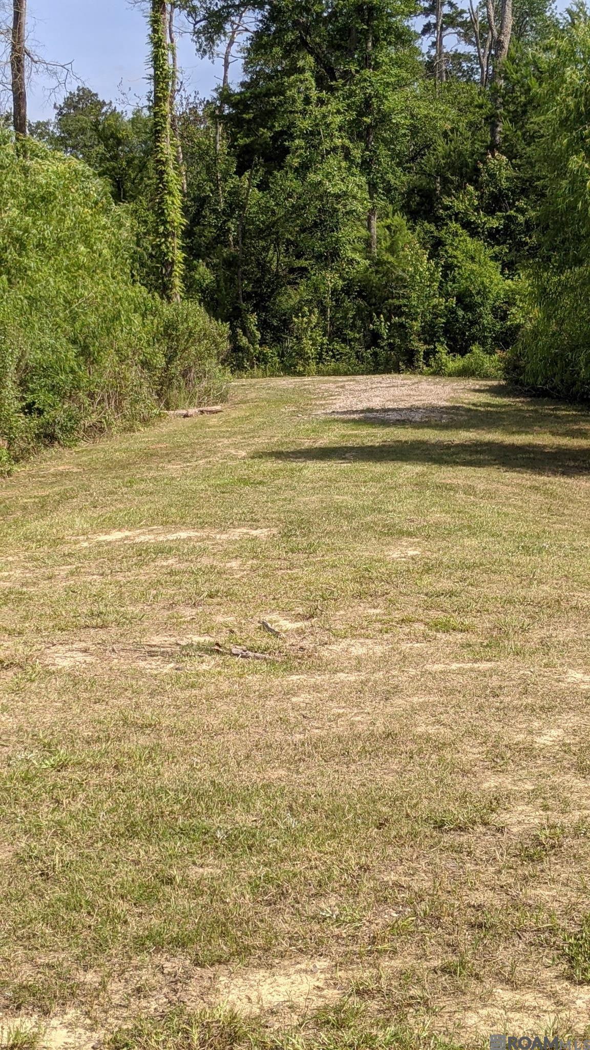 31187 Pace Ln, Walker, Louisiana image 2