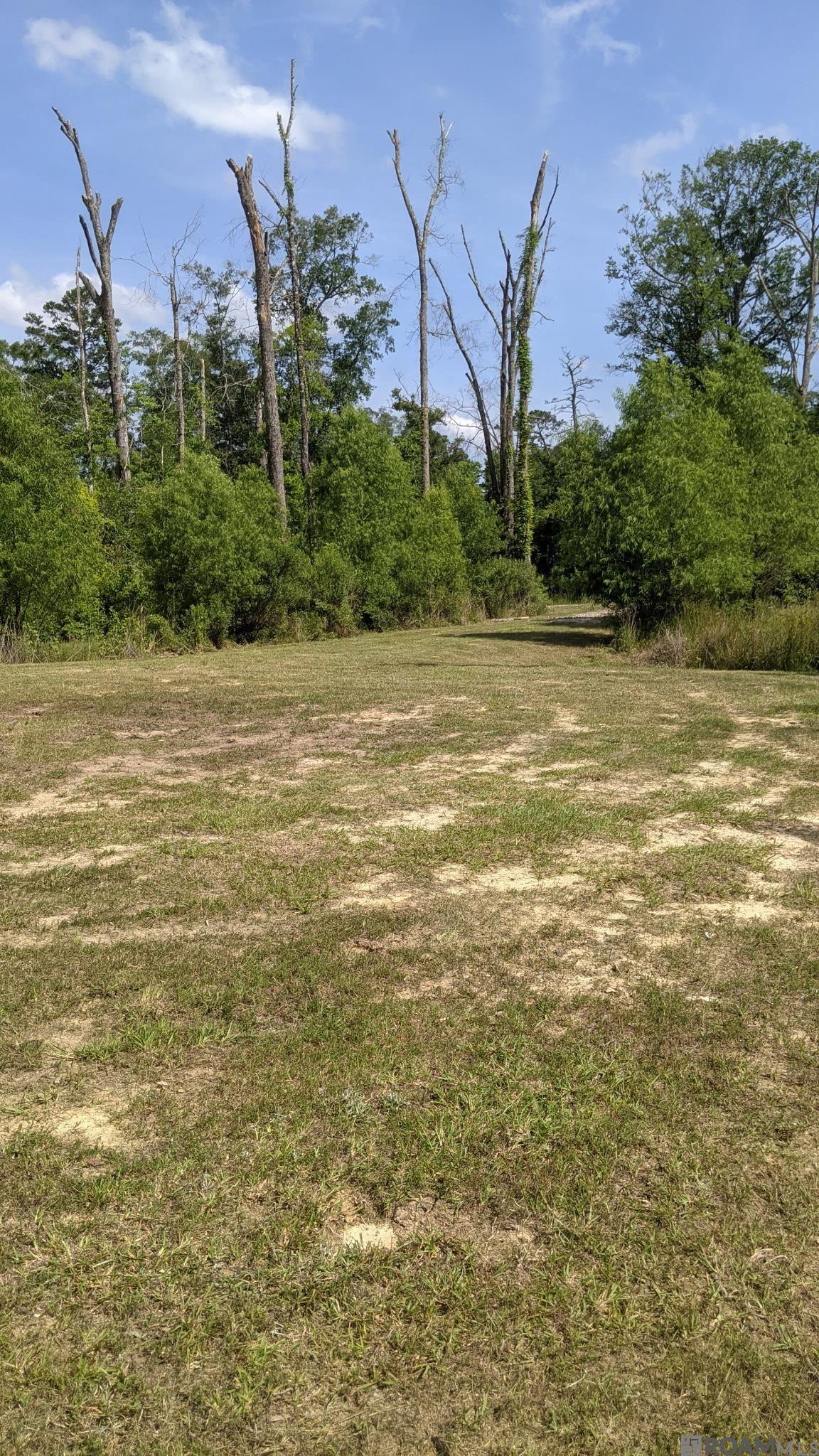 31187 Pace Ln, Walker, Louisiana image 1