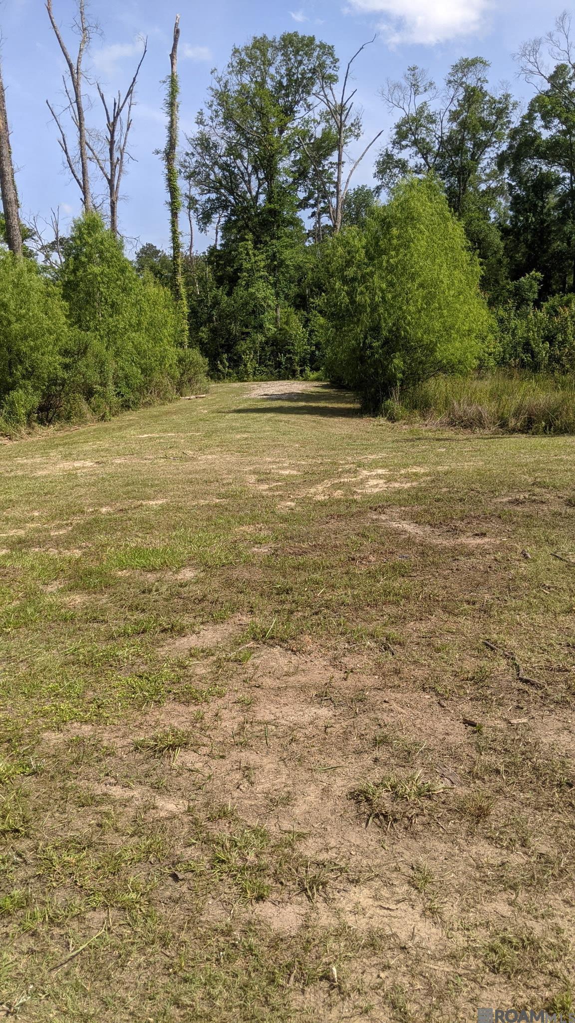 31187 Pace Ln, Walker, Louisiana image 3