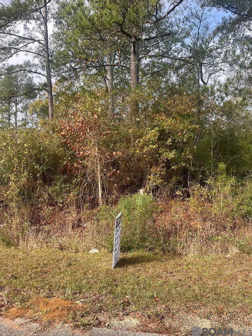 Lot 26 Bo Derrick Dr, Jackson, Louisiana image 1