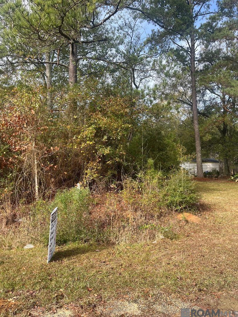 Lot 26 Bo Derrick Dr, Jackson, Louisiana image 3