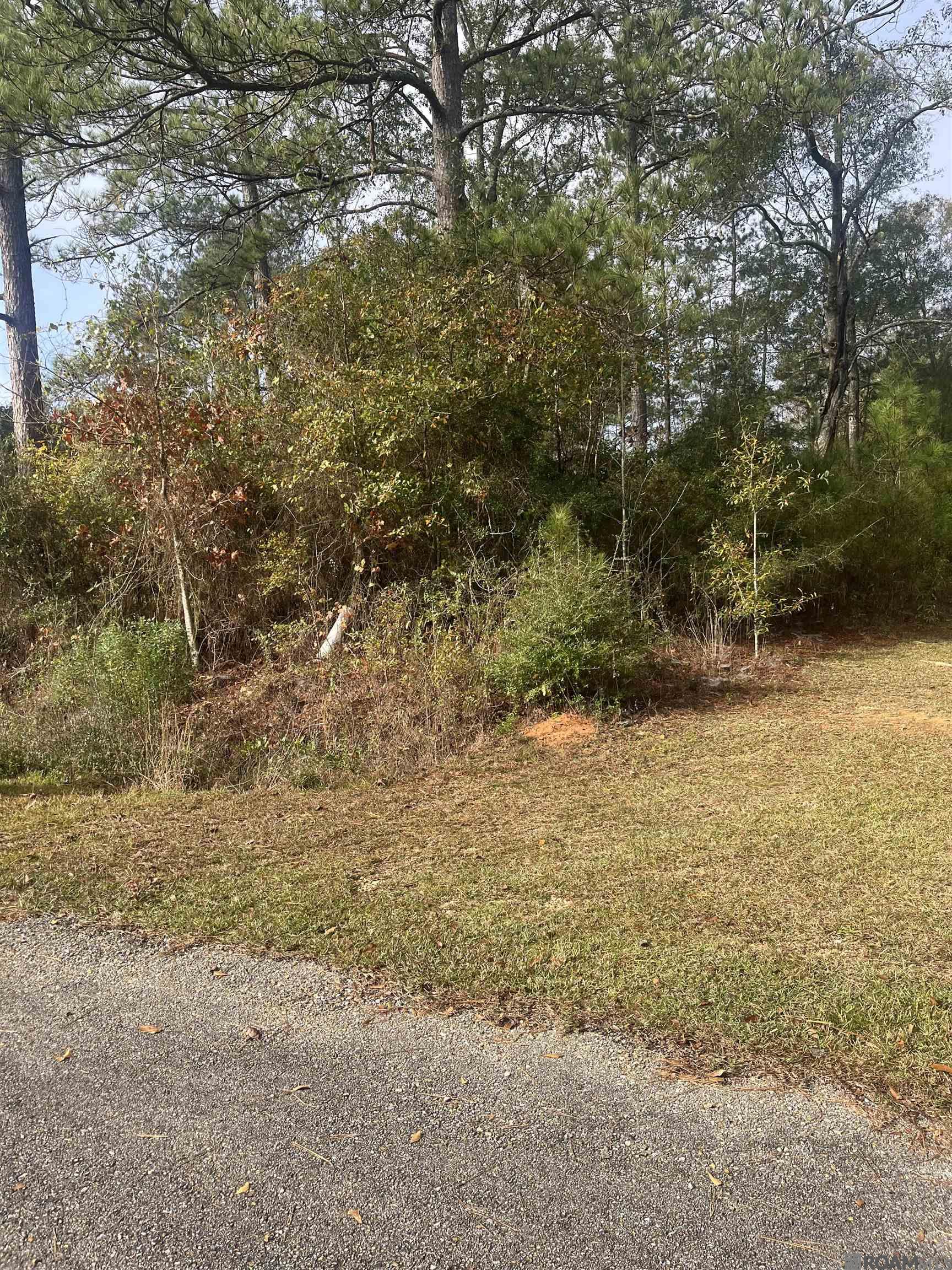 Lot 26 Bo Derrick Dr, Jackson, Louisiana image 4