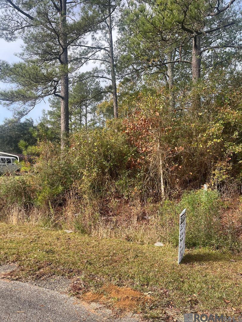 Lot 26 Bo Derrick Dr, Jackson, Louisiana image 2