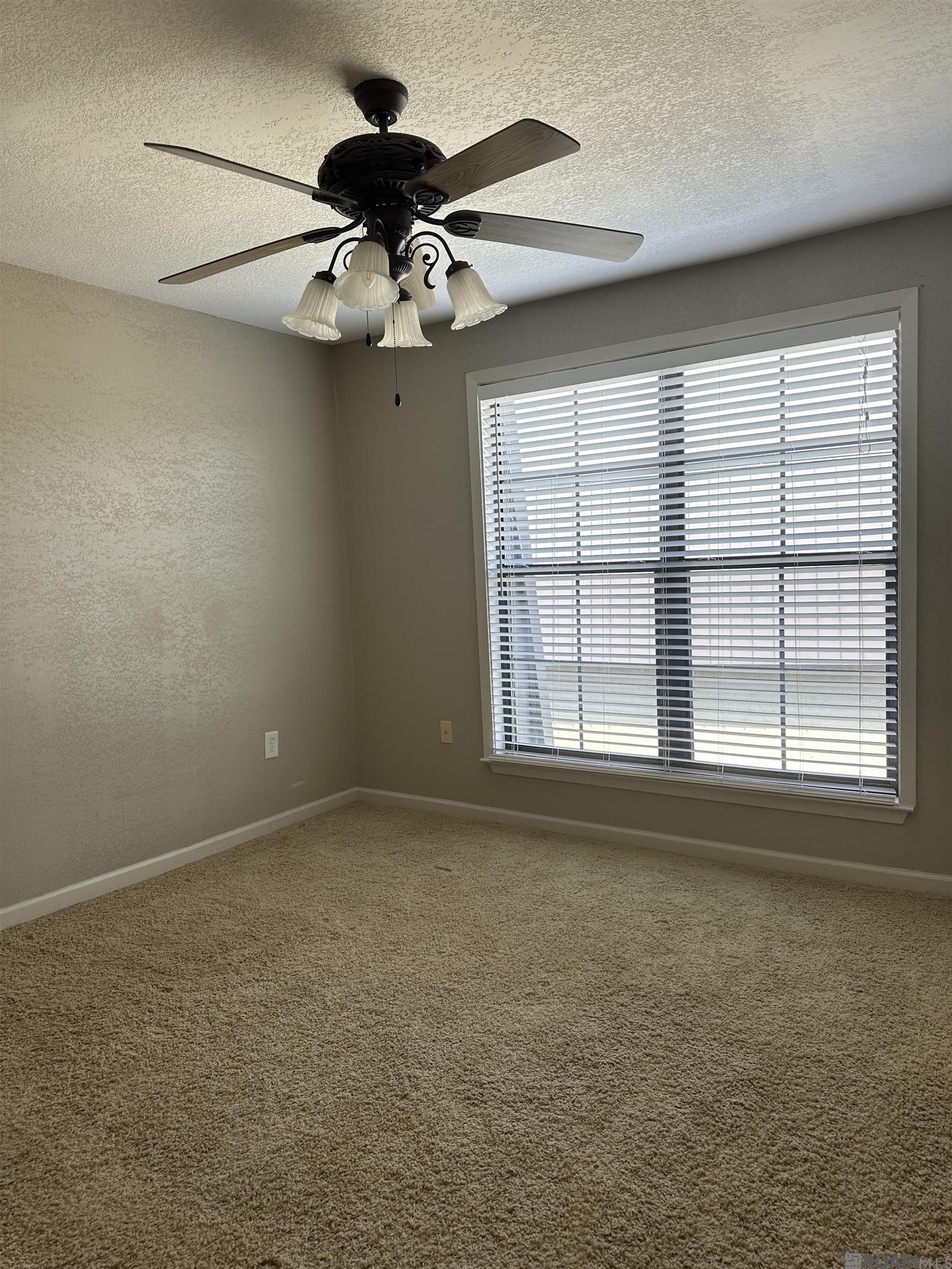 10300 W Winston Ave #9, Baton Rouge, Louisiana image 15